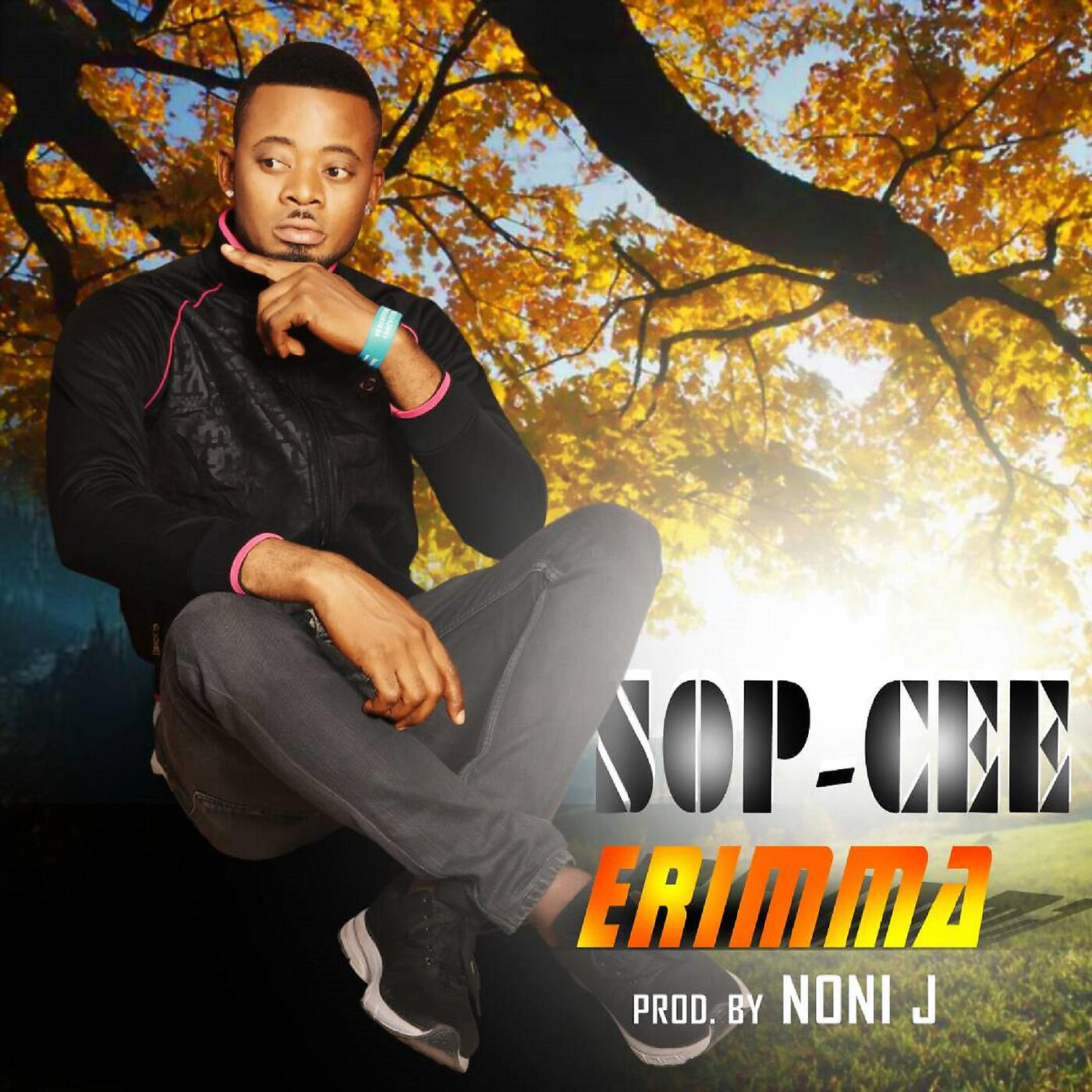 Скачать песню Sop-Cee, Krane - Hapu Dat Tin бесплатно в MP3 для Android и iOS