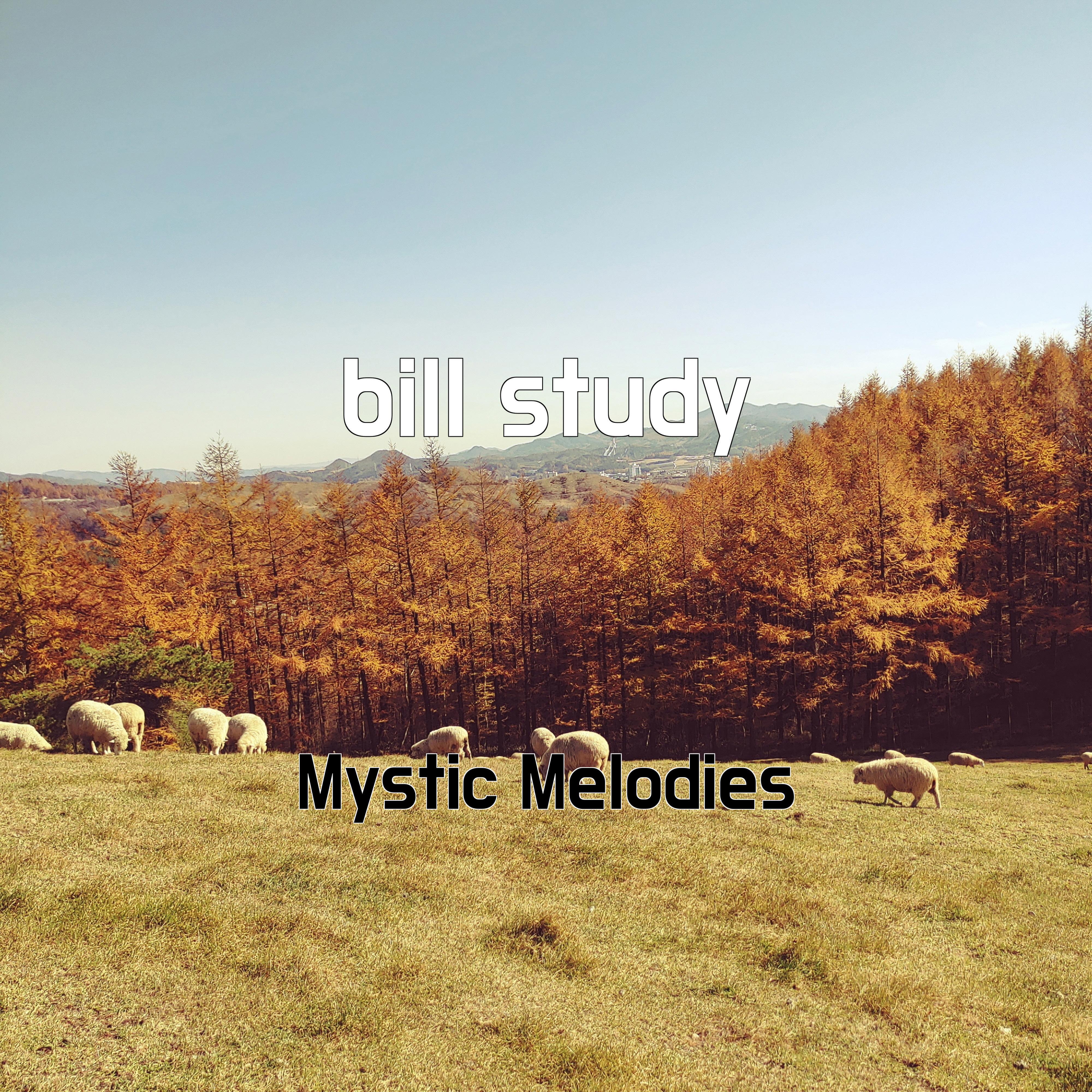 Релиз bill study