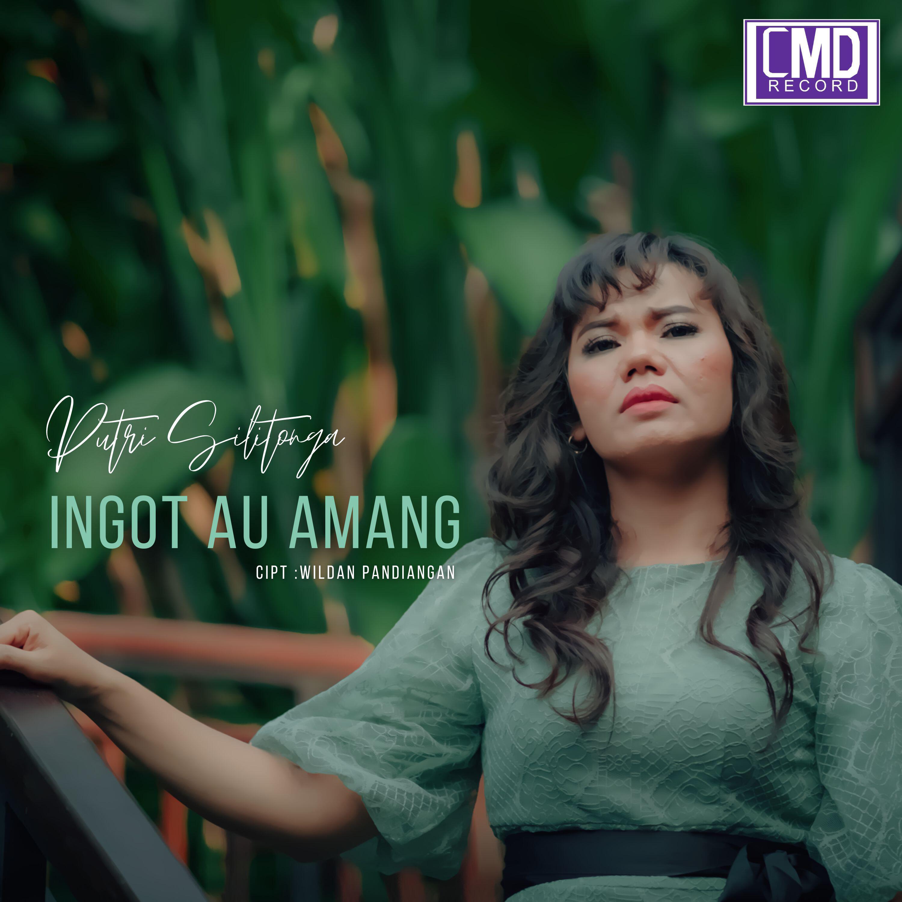 Релиз Ingot Au Amang