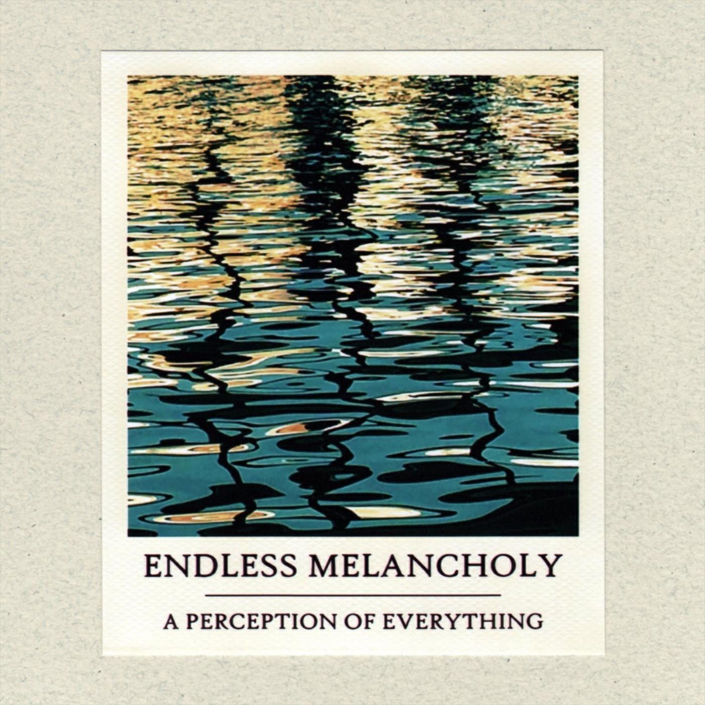 Релиз A Perception of Everything