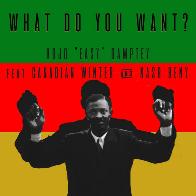 Релиз What Do You Want ? (feat. Canadian Winter & Nasr Beny)