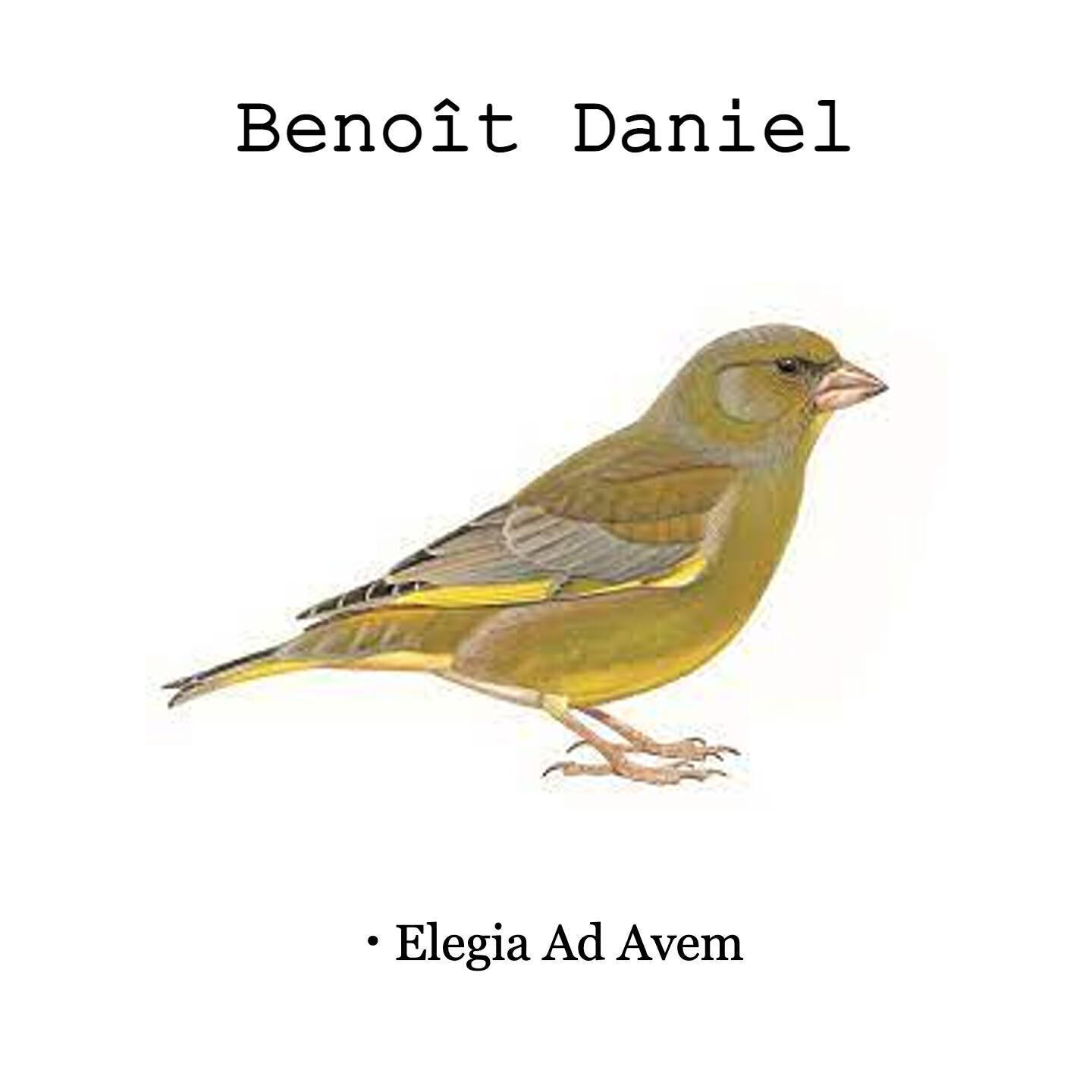 Benoît Daniel