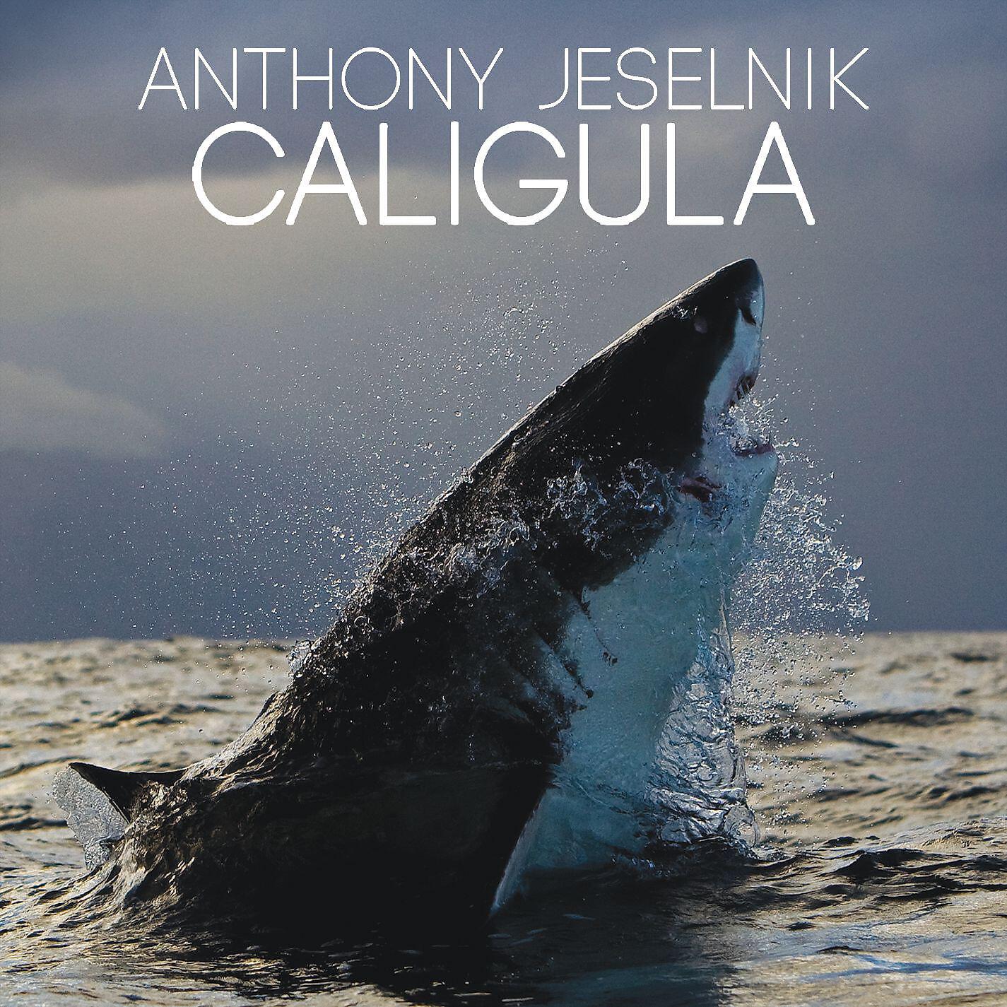 Релиз Caligula