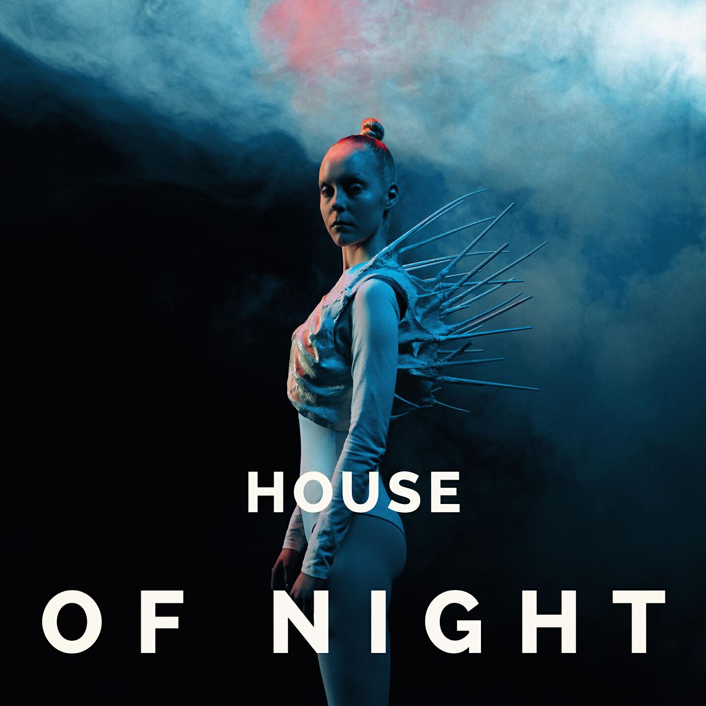 Релиз House of Night