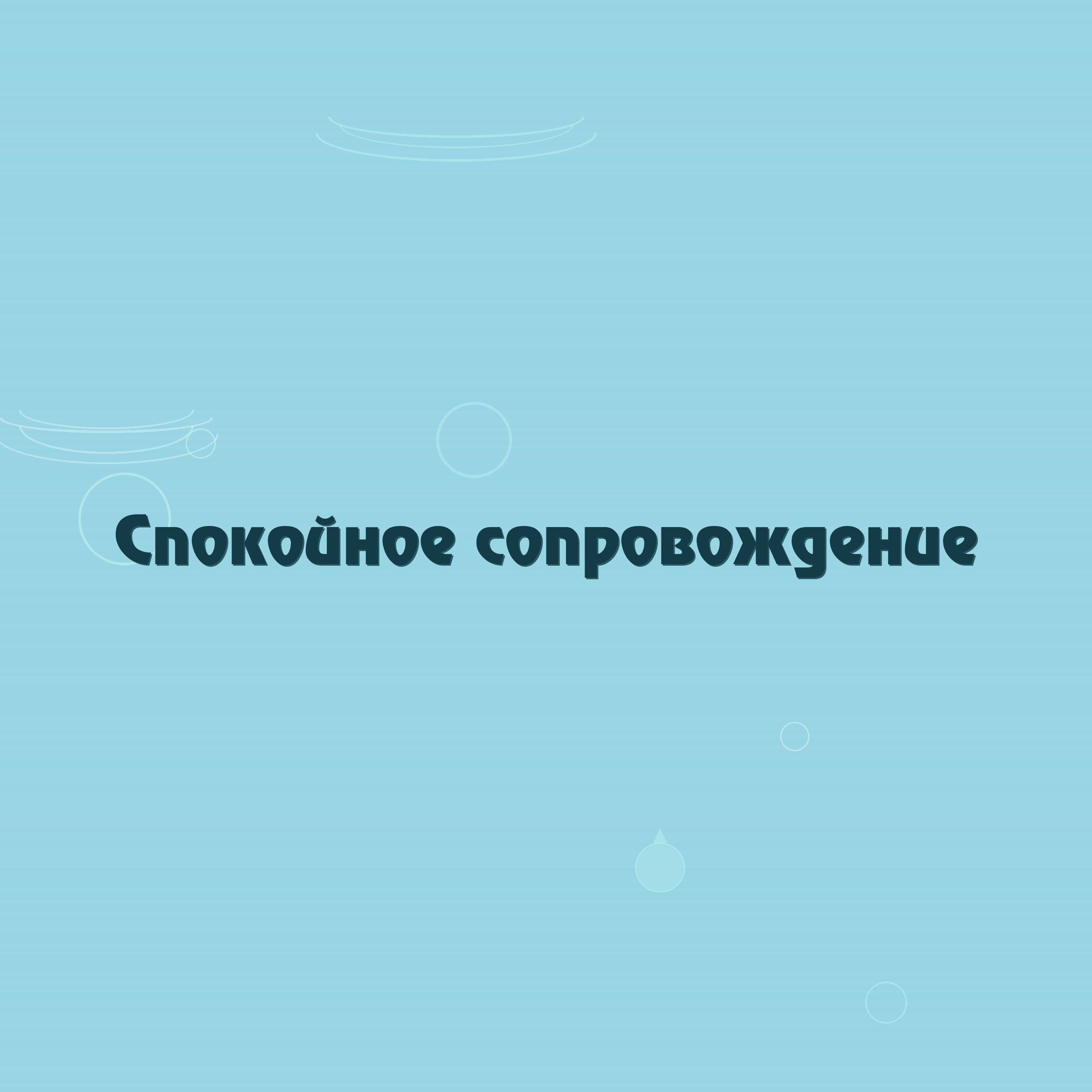 Релиз Спокойное сопровождение