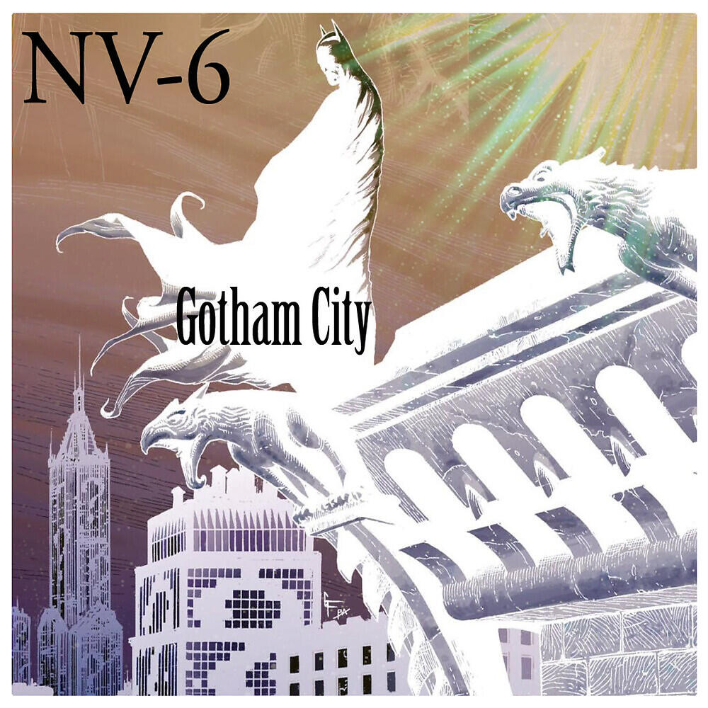 NV-6