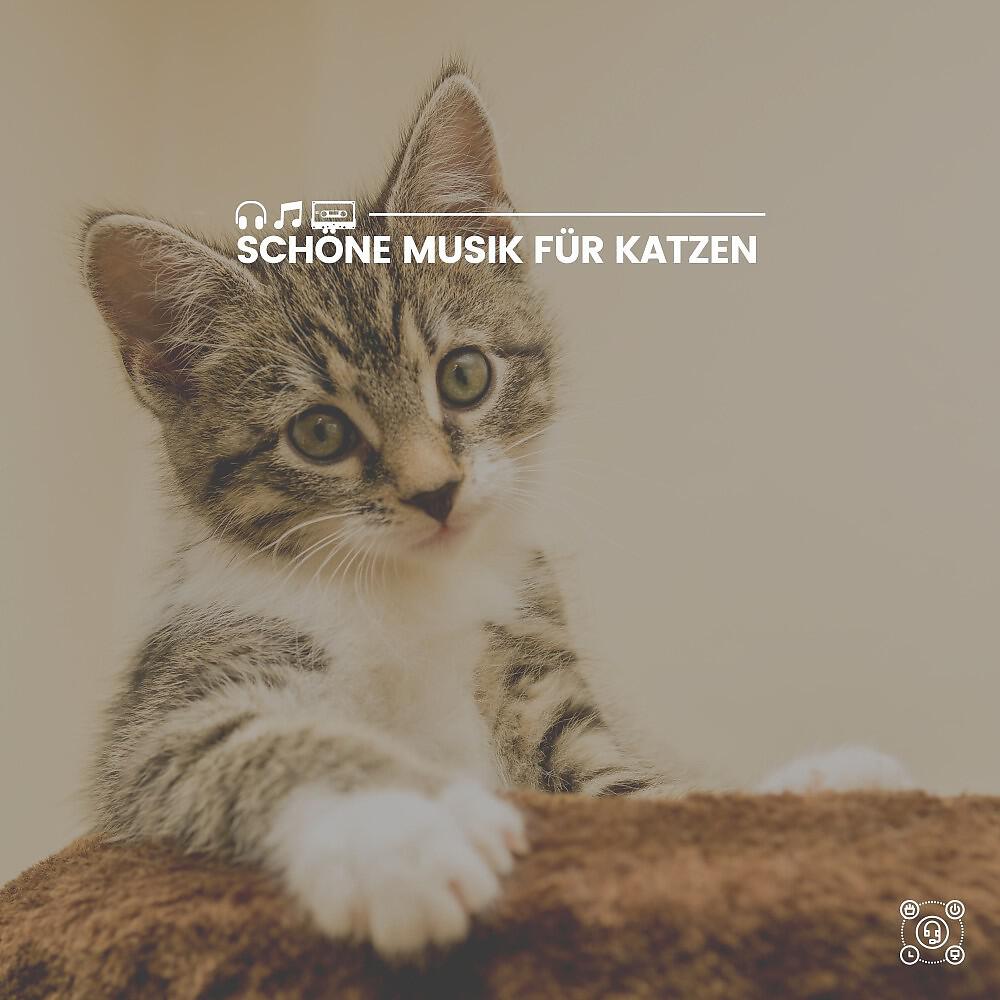 Релиз Schöne Musik für Katzen