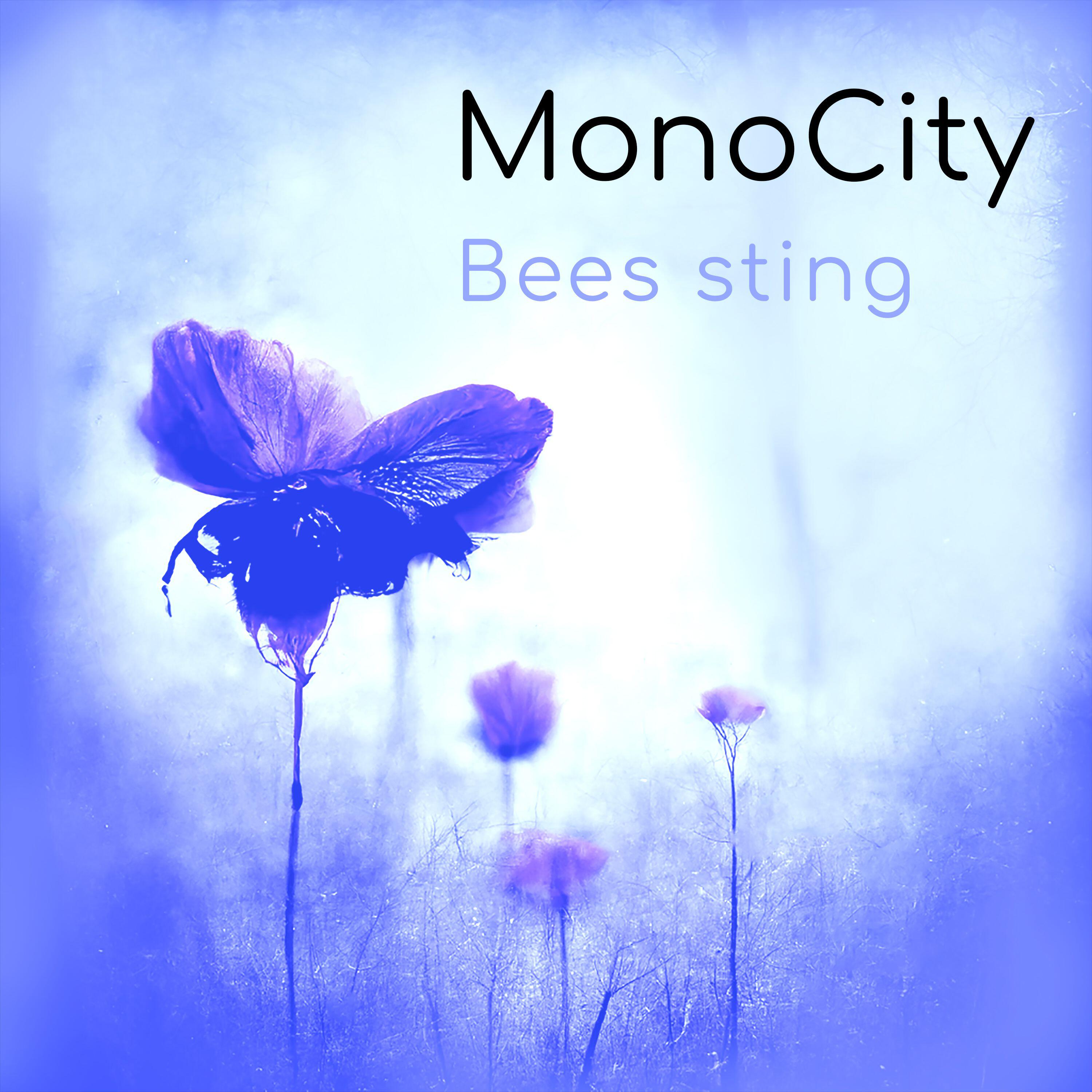 MonoCity