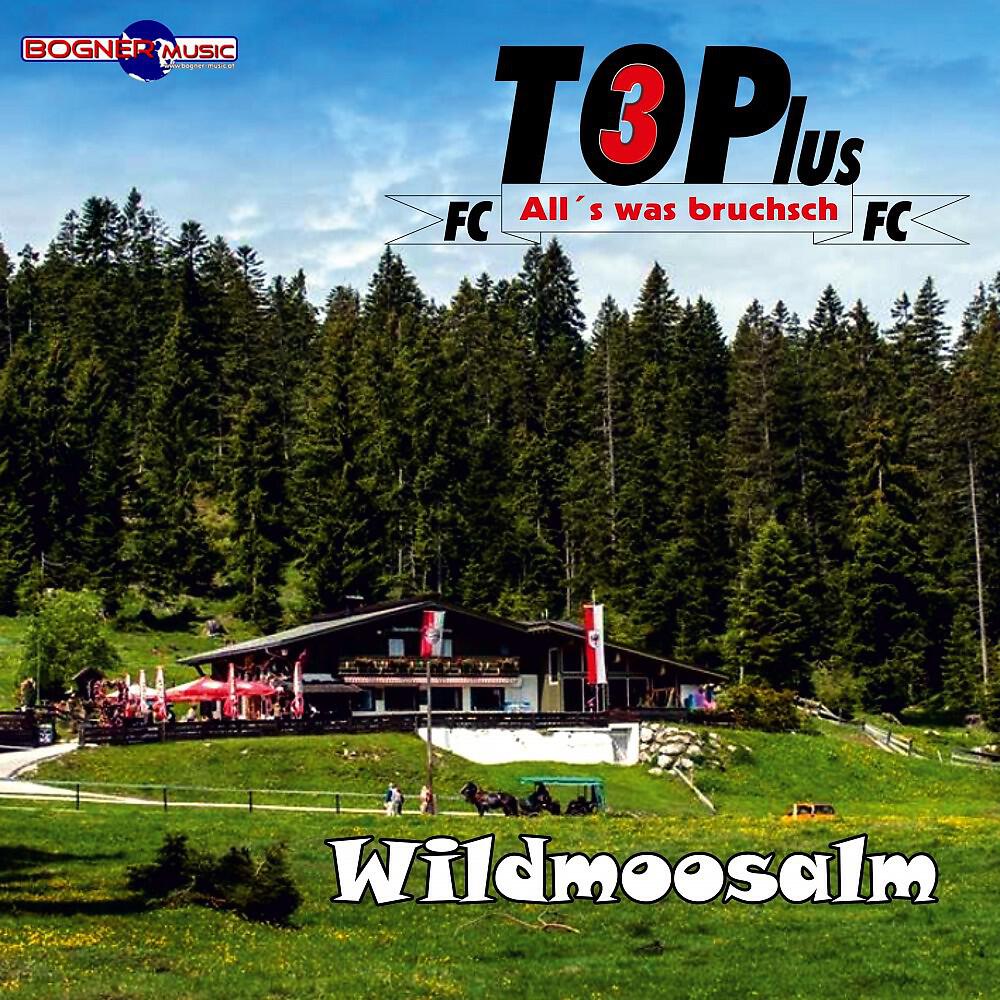 Релиз Wildmoosalm