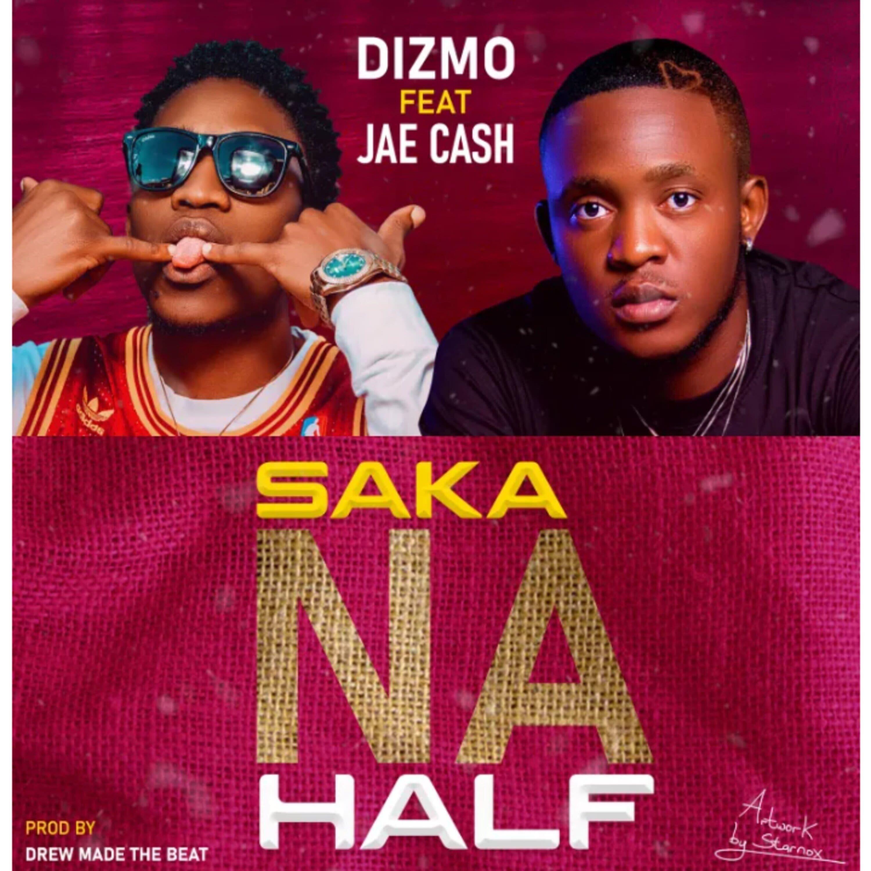 Релиз Saka Na Half