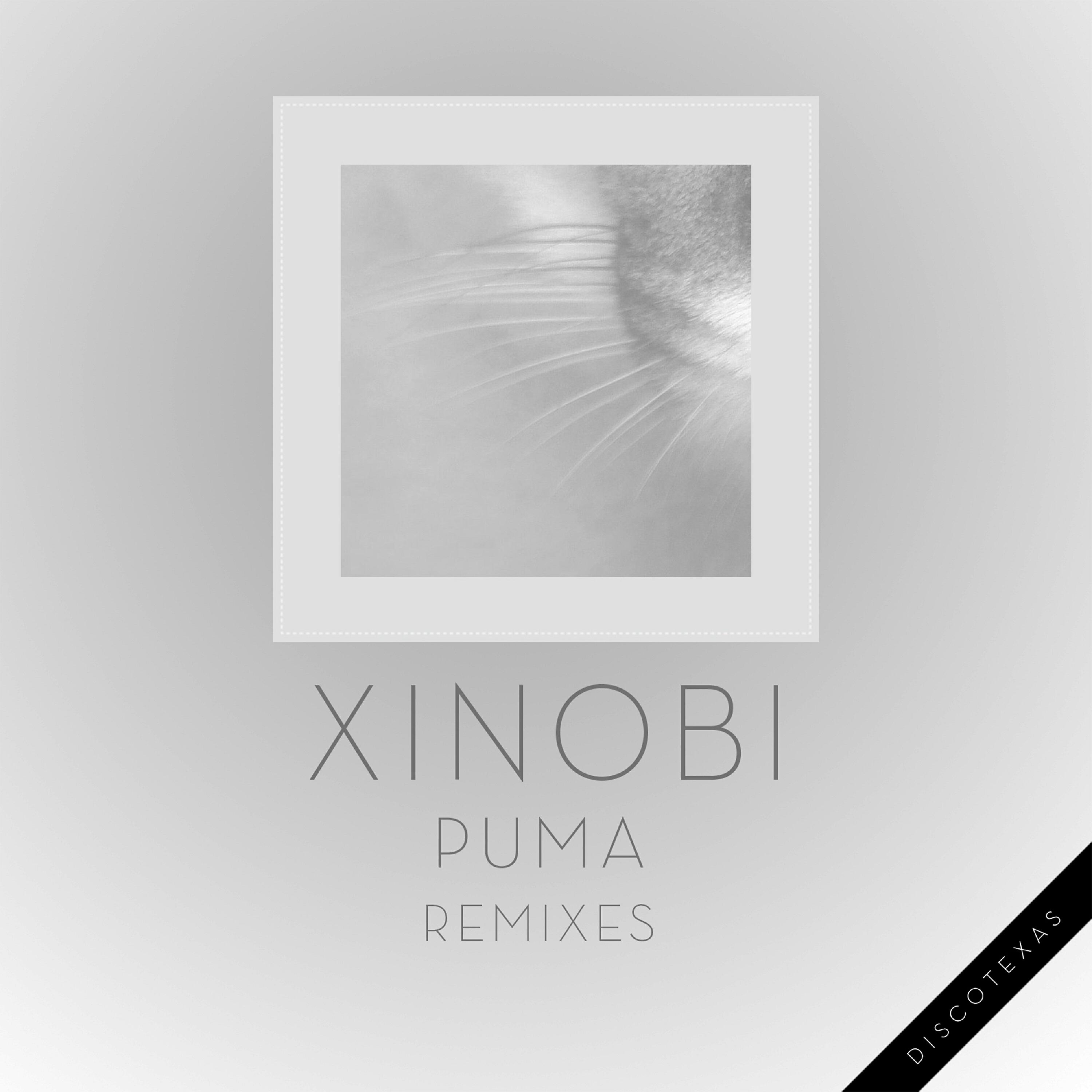 Релиз Puma