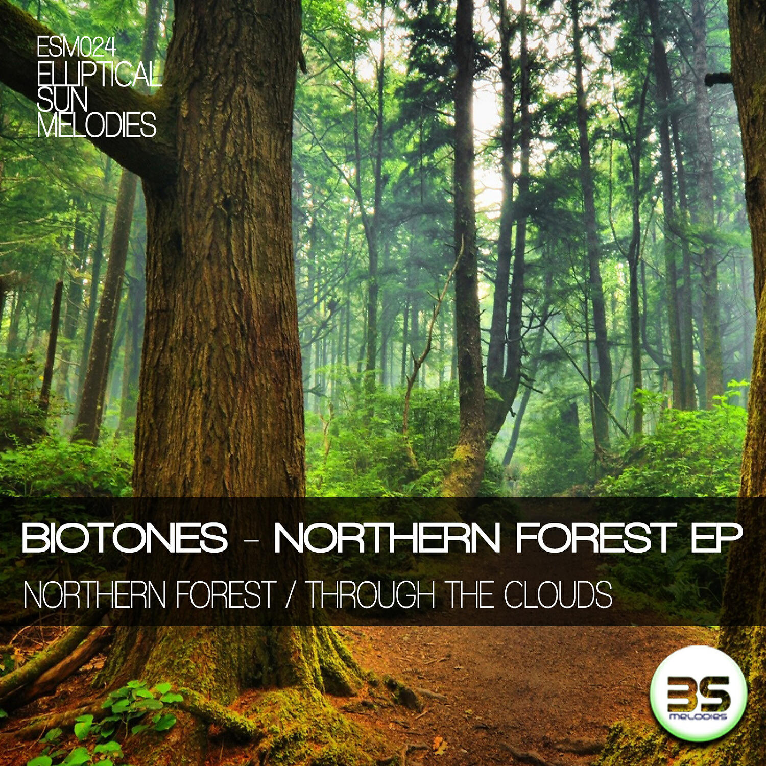 Релиз Northern Forest