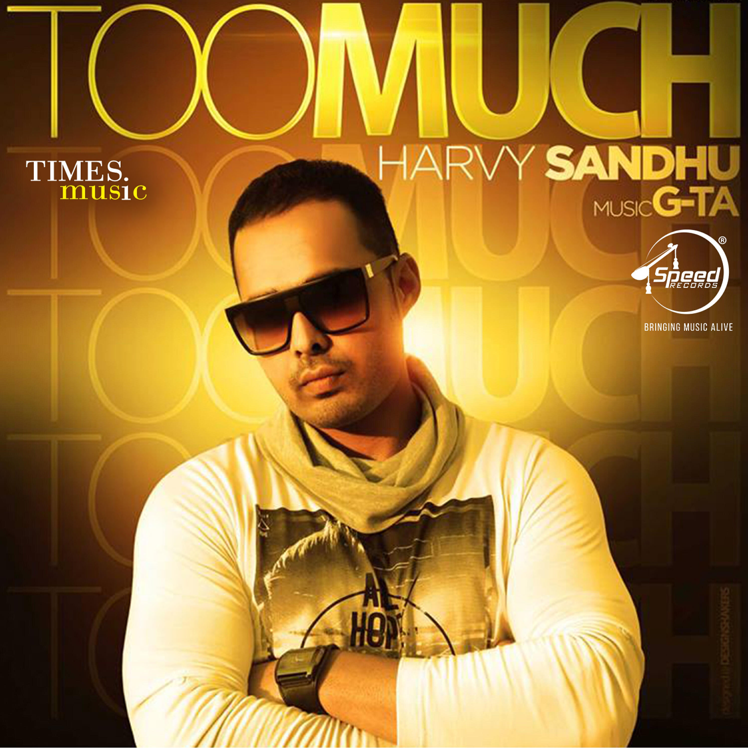 Релиз Too Much - Single