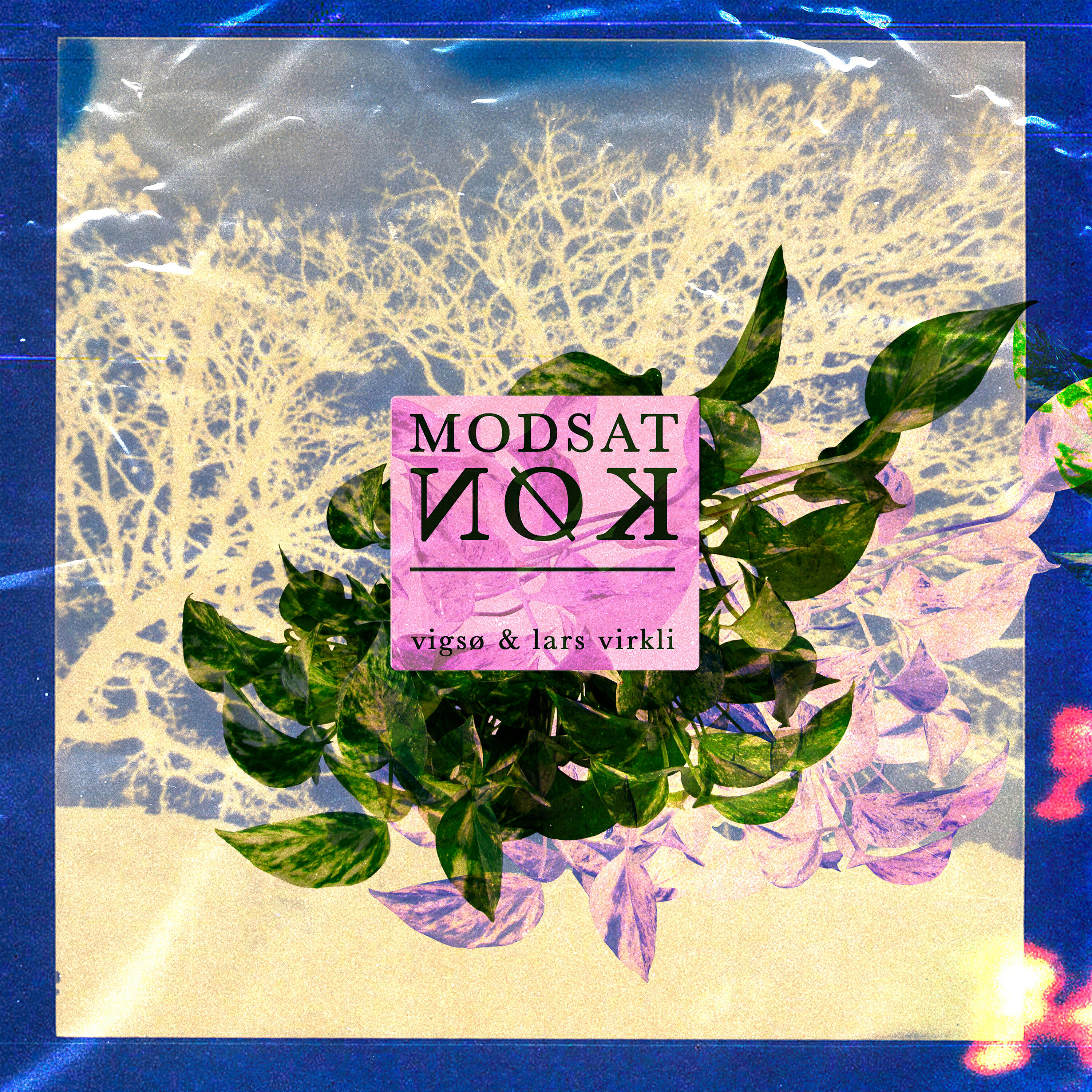 Релиз Modsat Køn