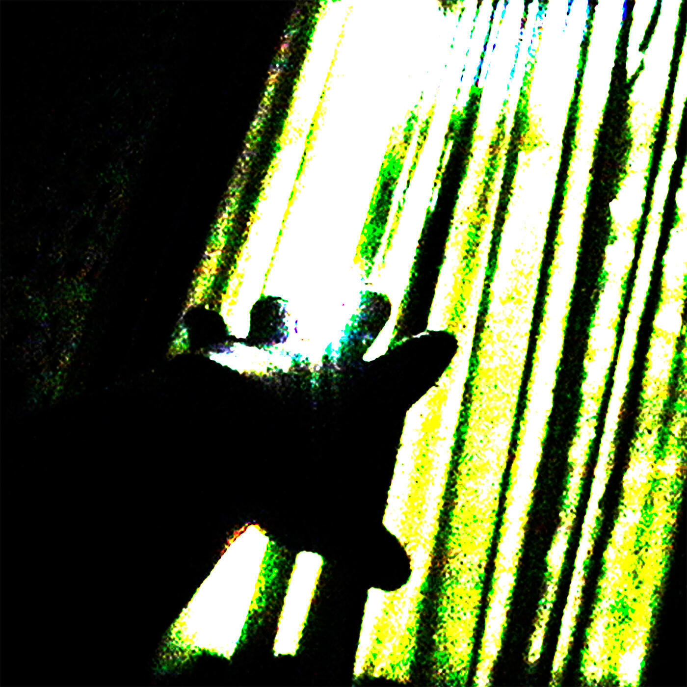 Релиз don't leave me please forgive me please