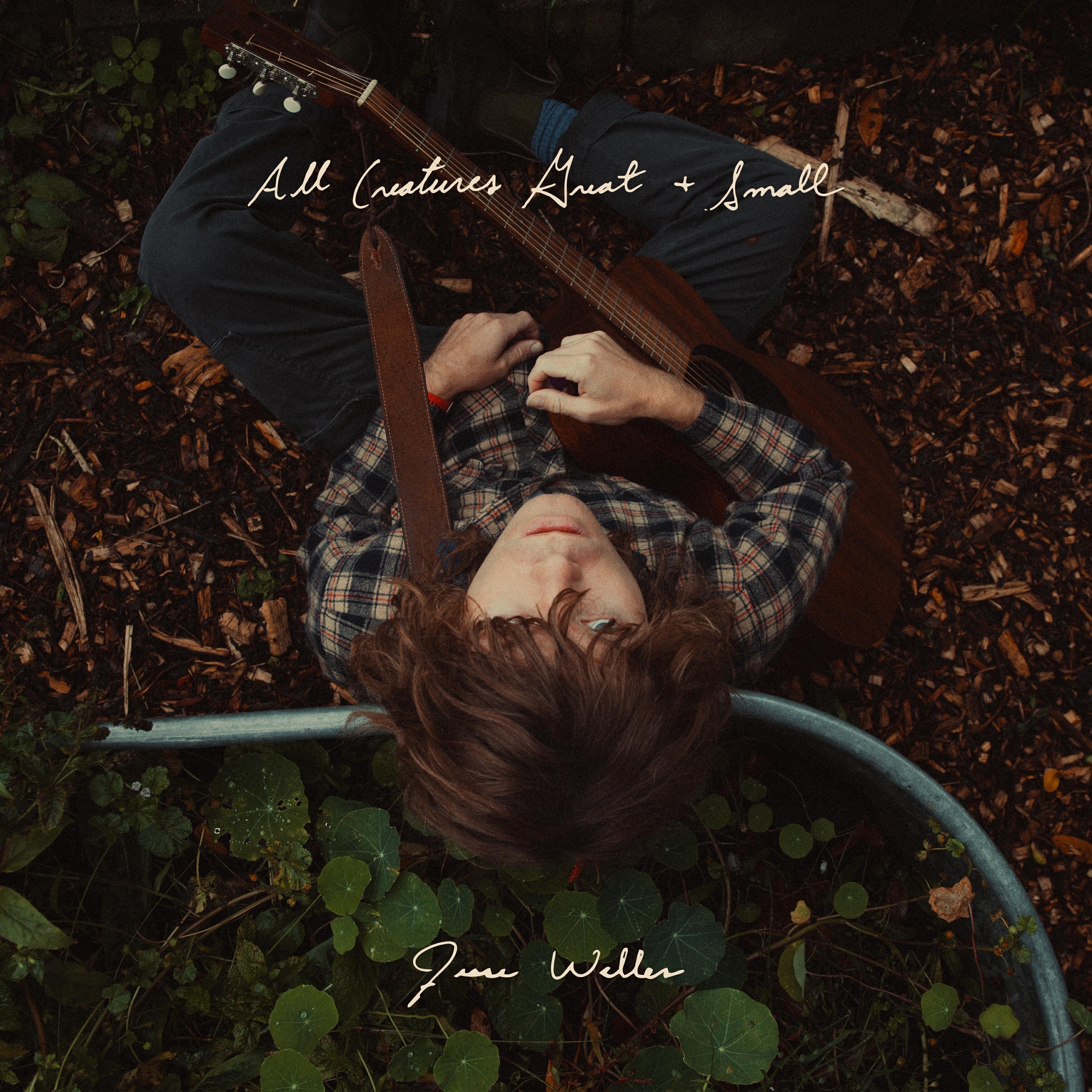 Релиз All Creatures Great and Small
