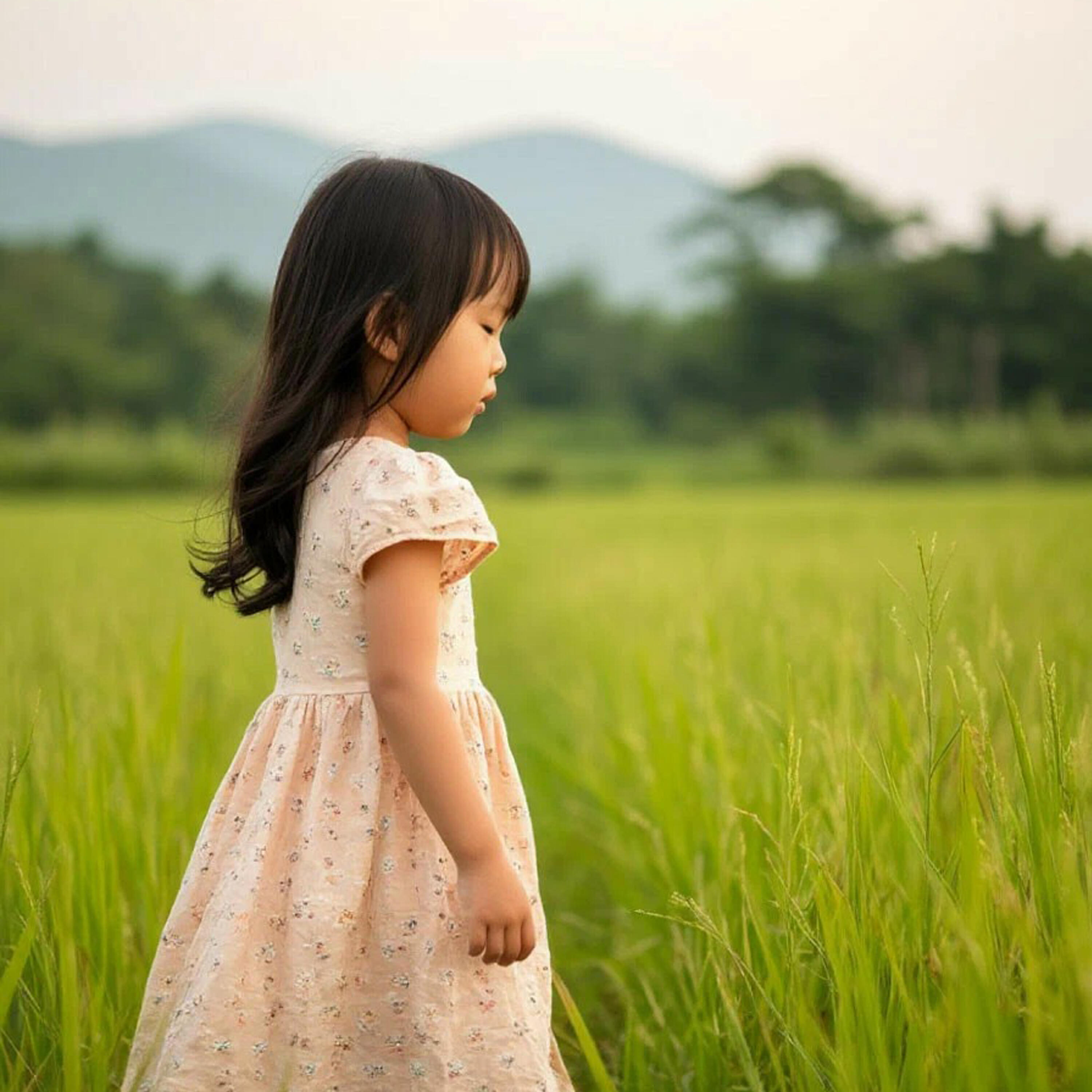 Релиз Чаптанчыг кызым