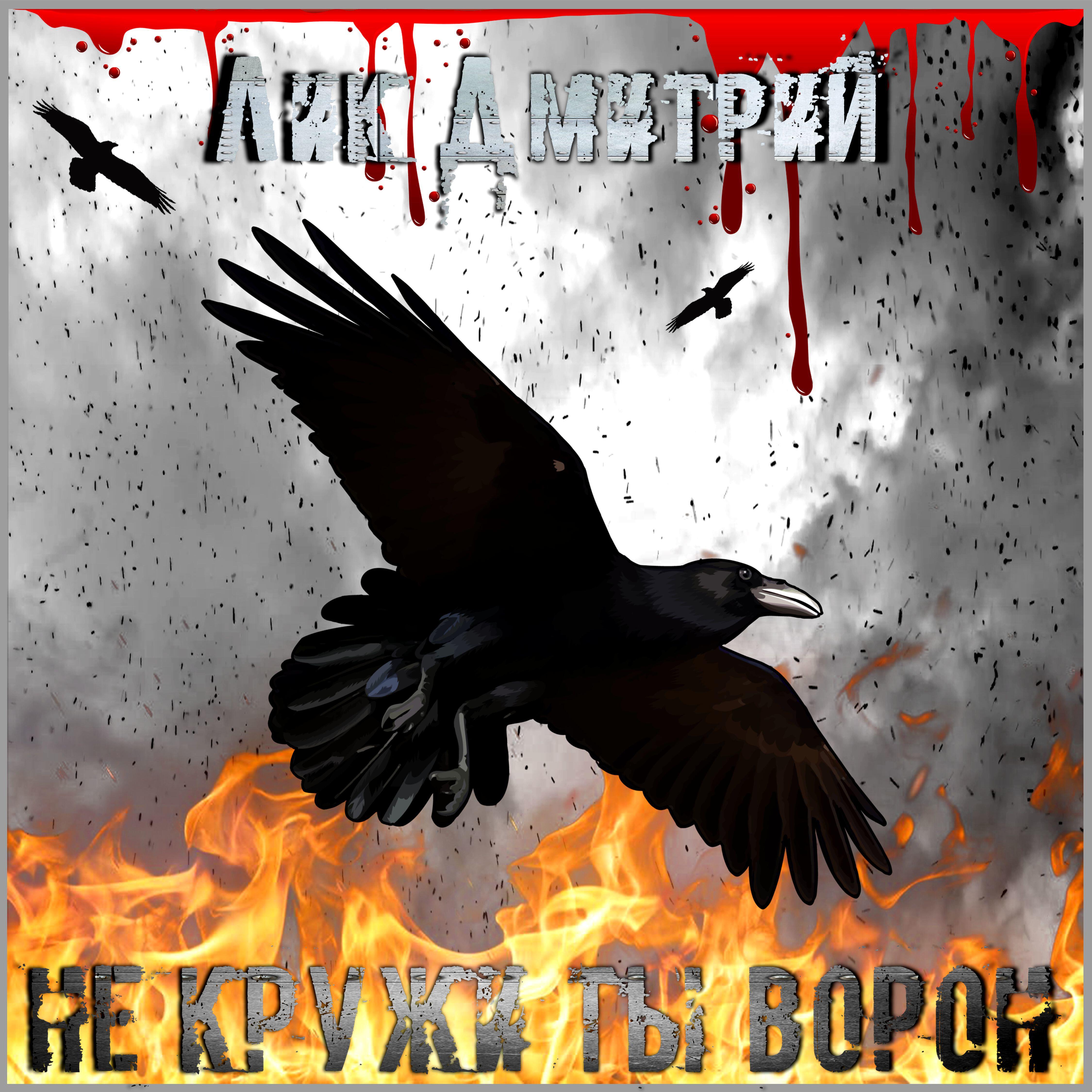 Постер альбома Не кружи ты ворон!