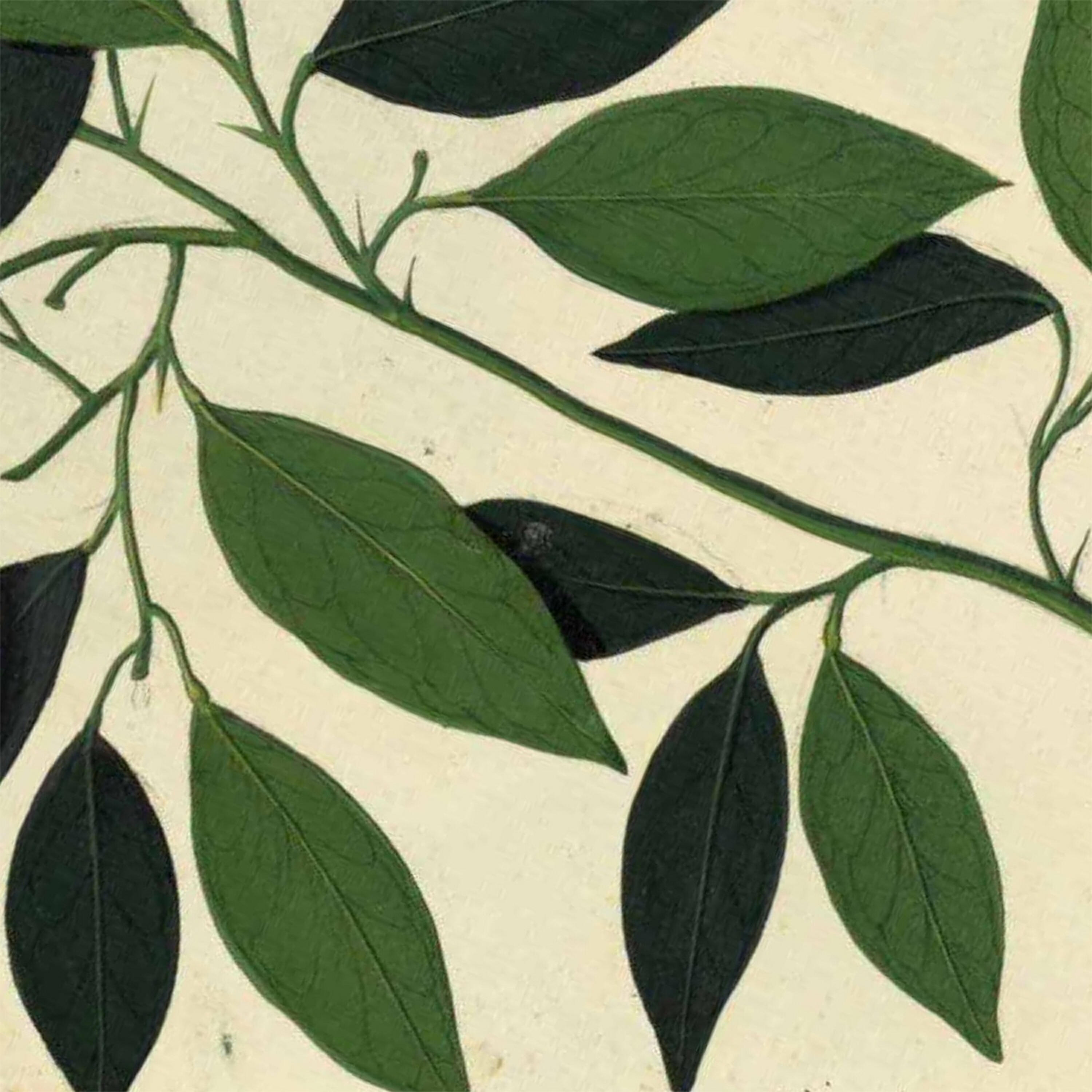 Релиз La Parranda / El Gigante de Sangonera (Versiones 2014)