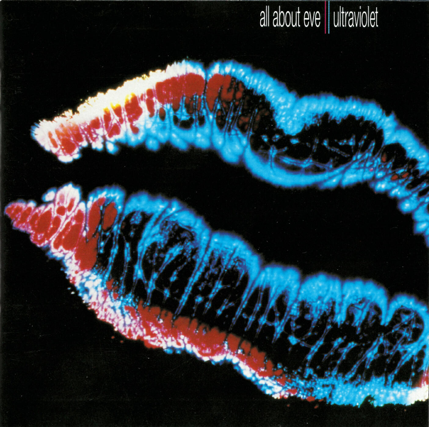 Релиз Ultraviolet