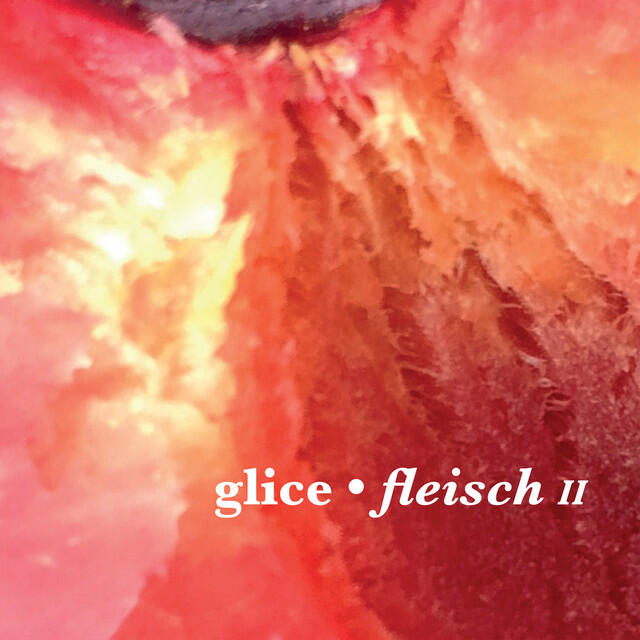 Релиз Fleisch II