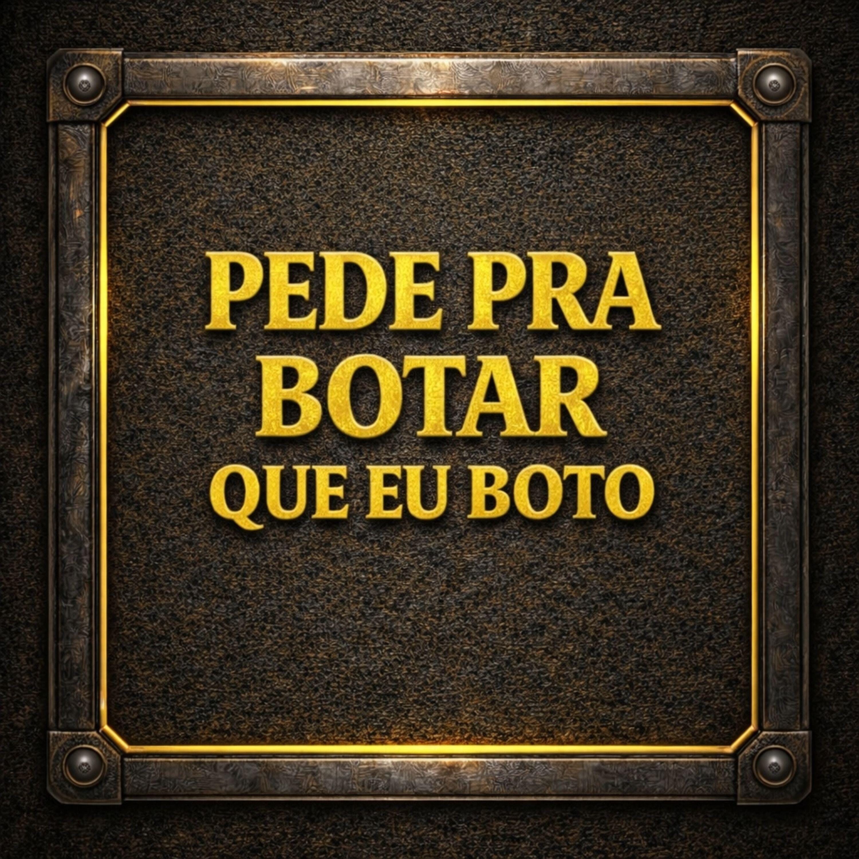 Релиз Pede pra Botar Que Eu Boto