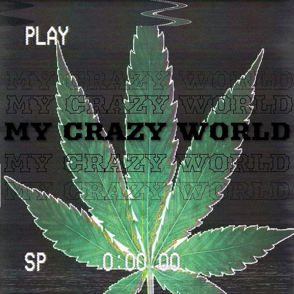 Релиз My Crazy World