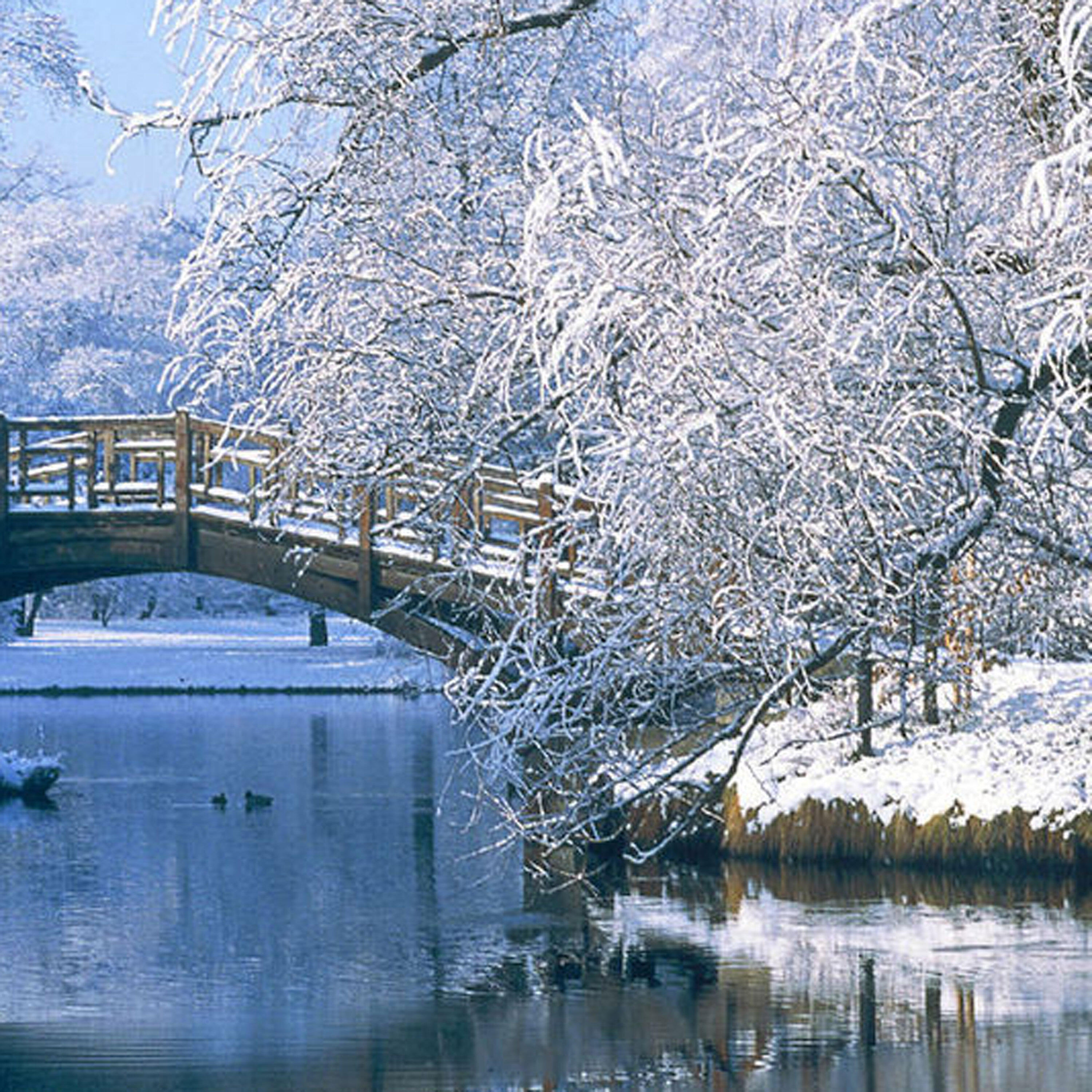 Постер альбома 万水千山