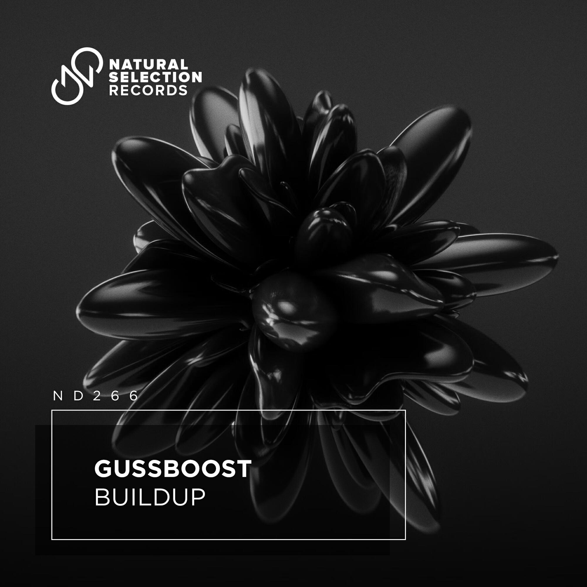 Релиз BuildUp