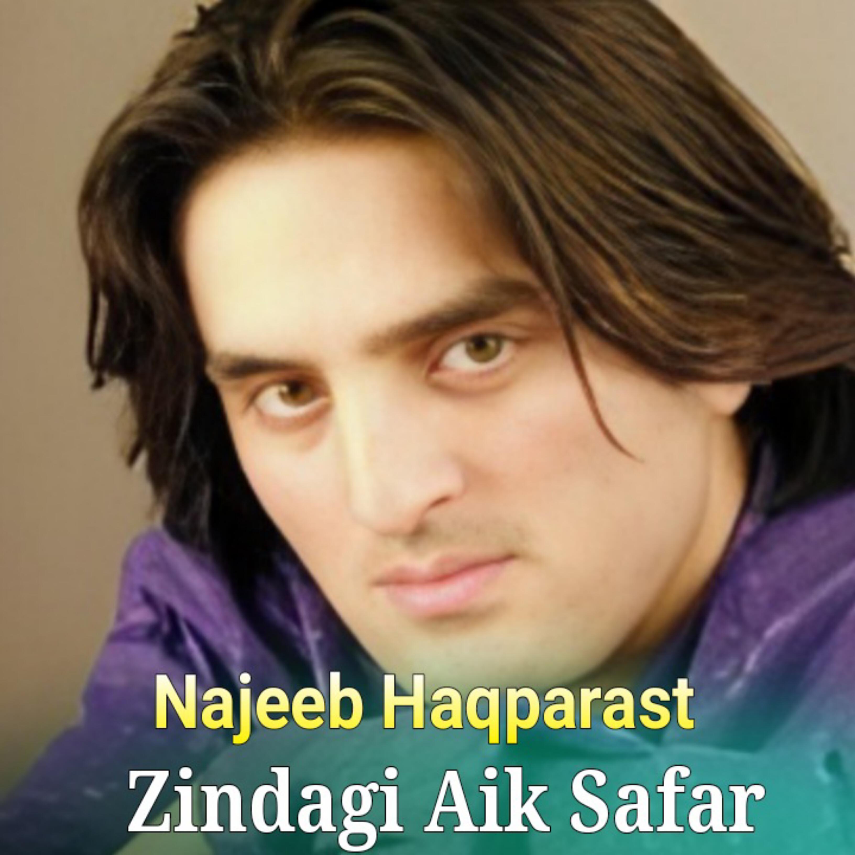 Релиз Zindagi Aik Safar