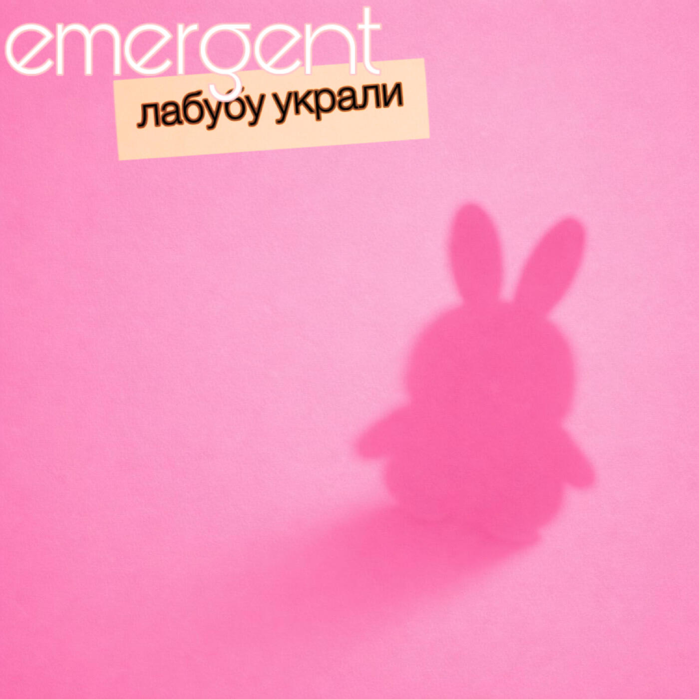 Релиз лабубу украли