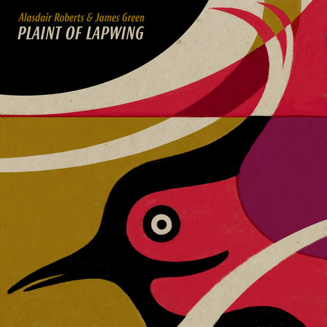 Релиз Plaint of Lapwing