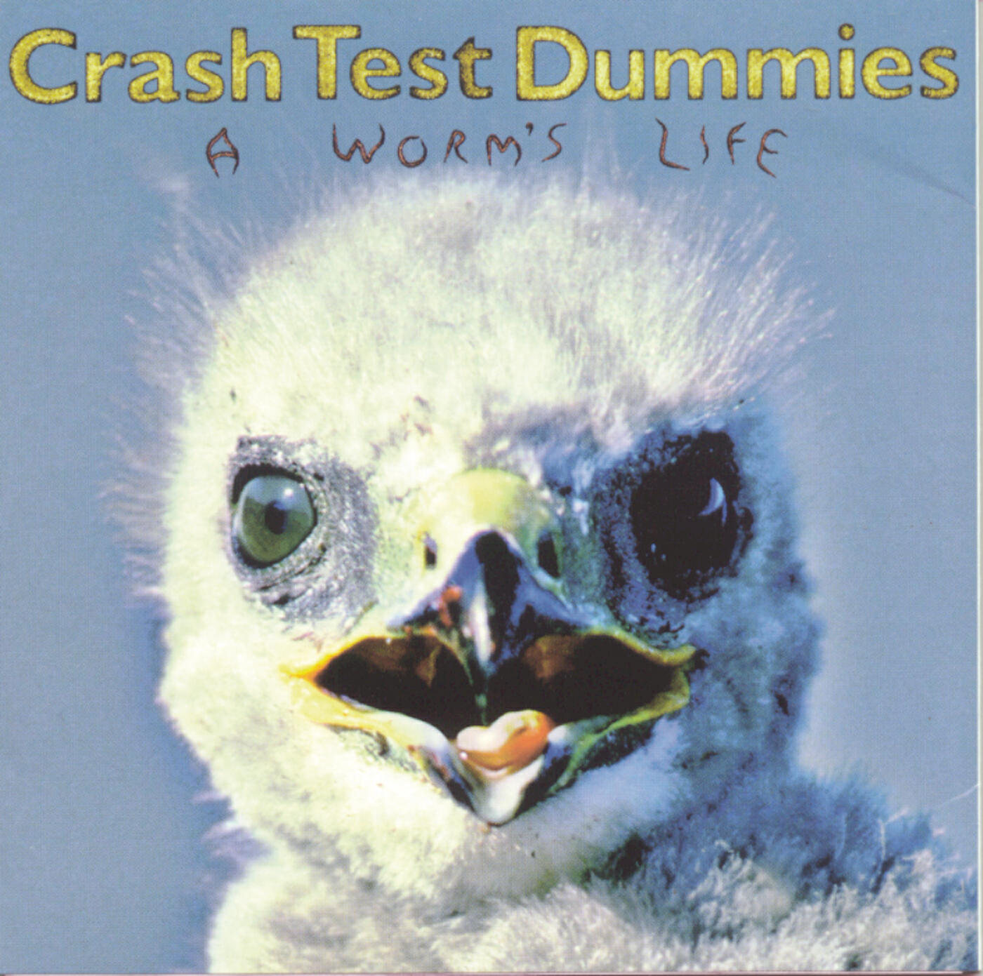 Релиз A Worm's Life