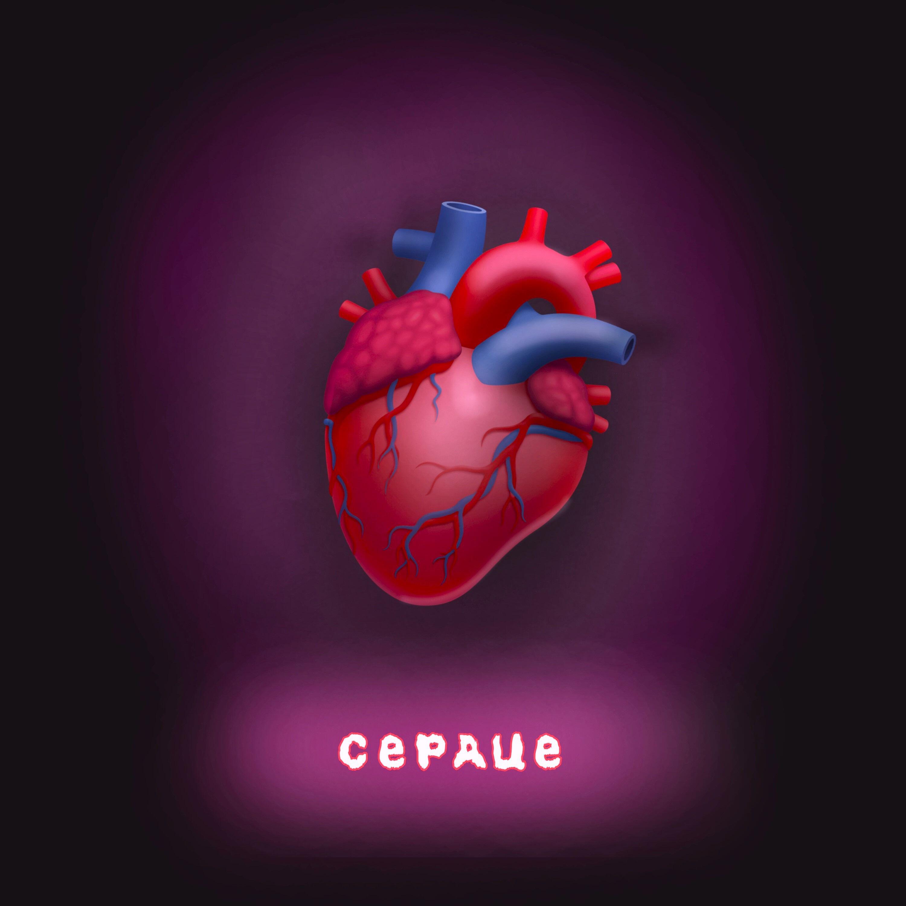 Релиз сердце