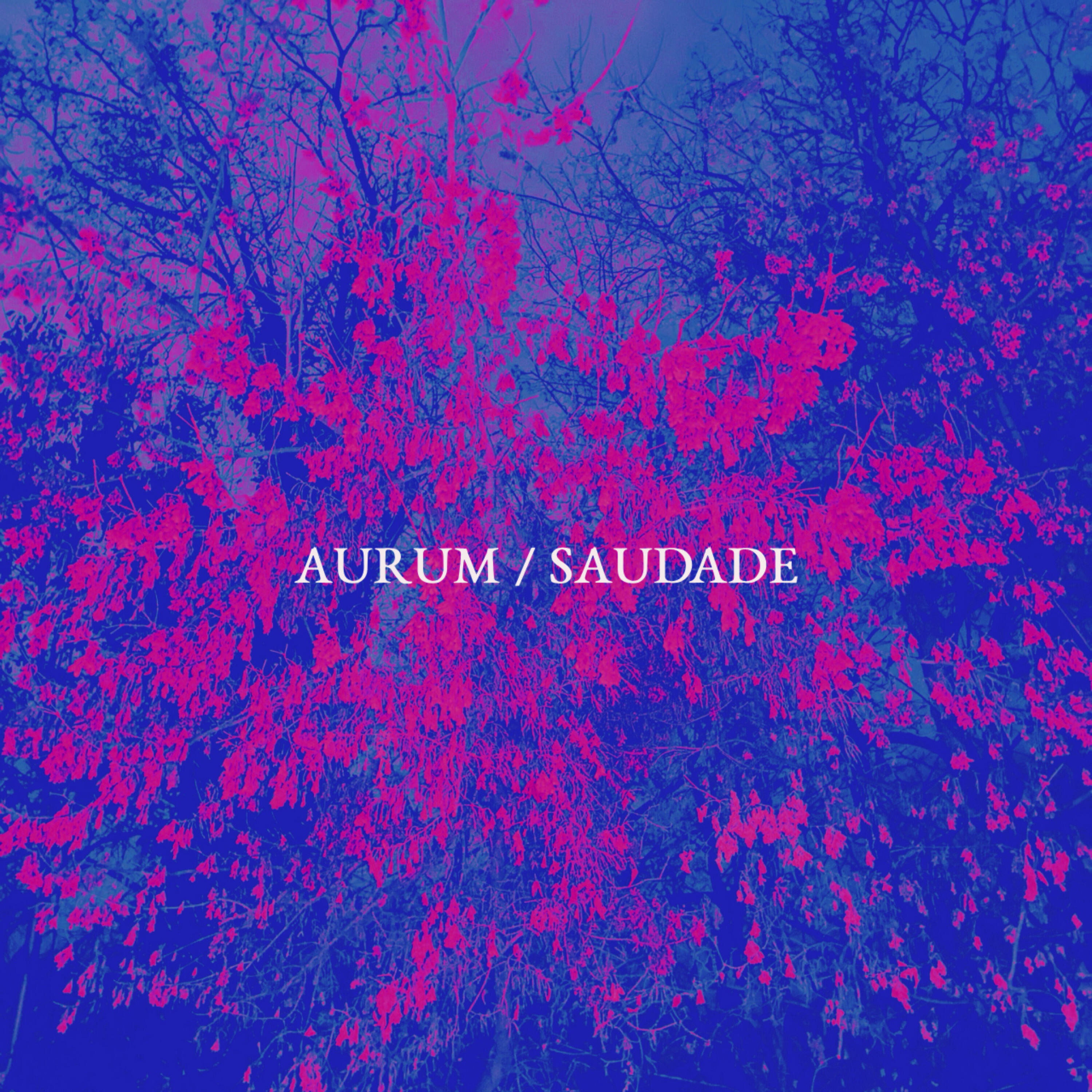 Релиз Saudade