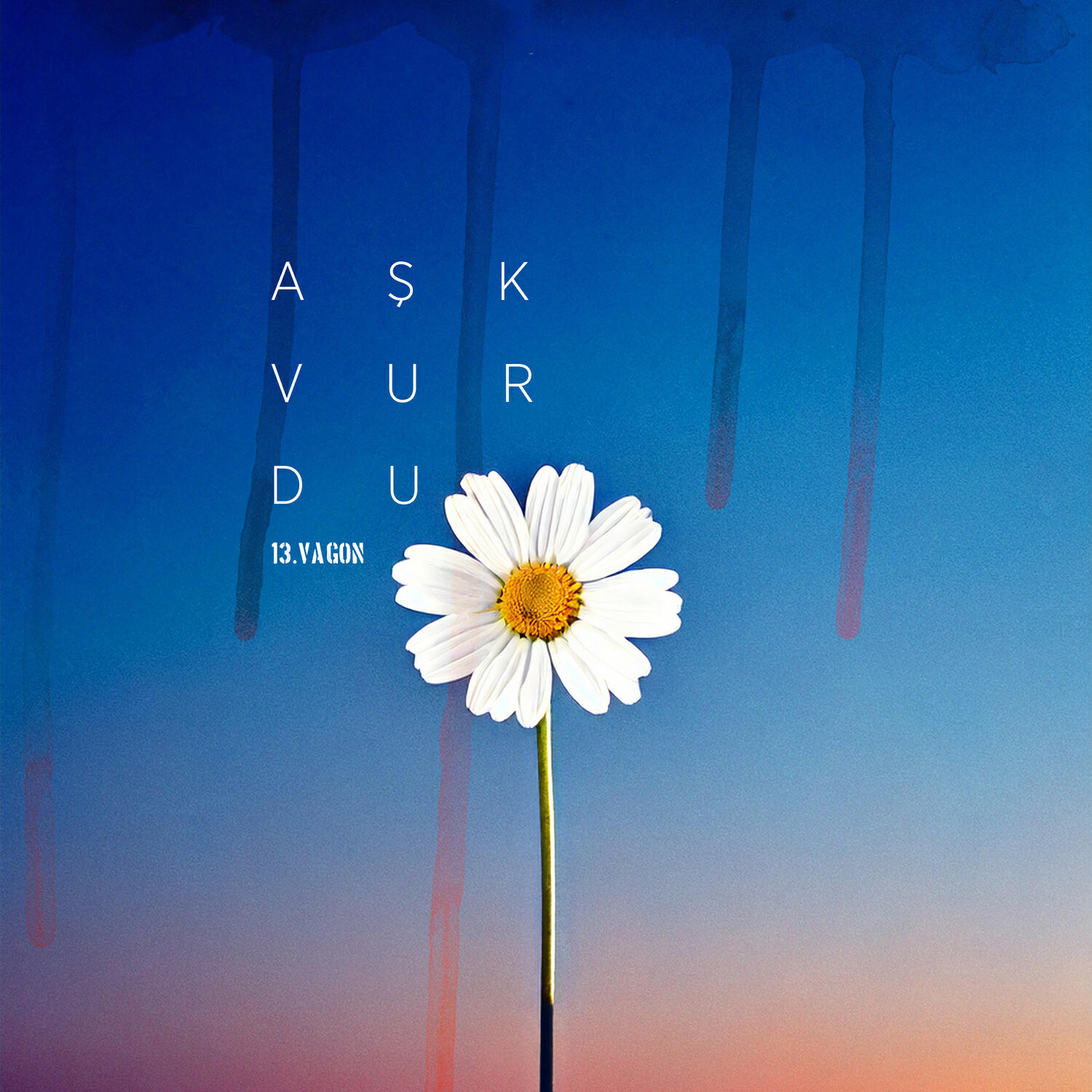 Релиз Aşk Vurdu