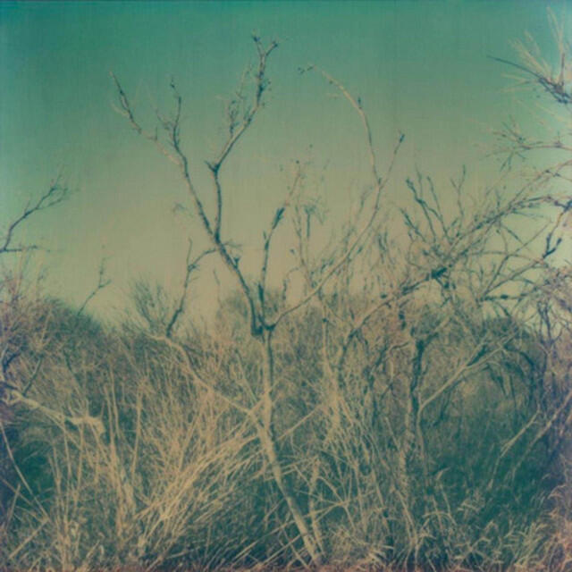 Релиз No Bridge Behind