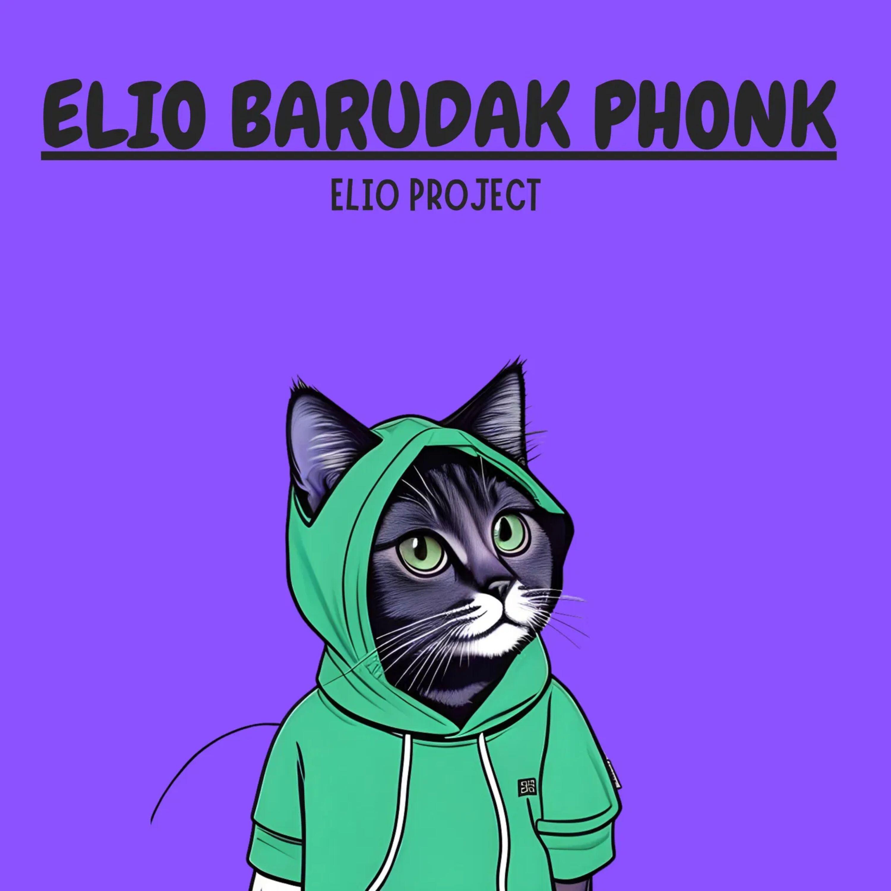 ELIO PROJECT