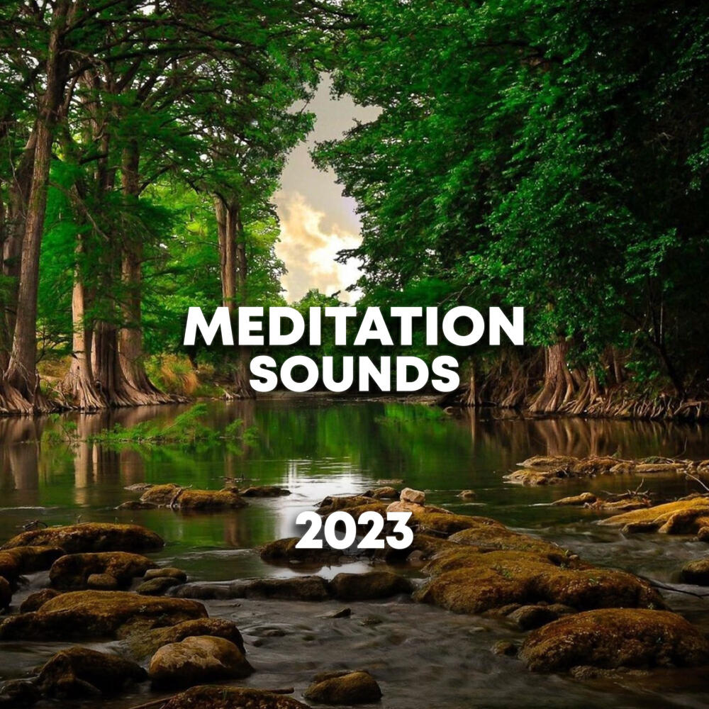 Релиз Meditation Sounds 2023
