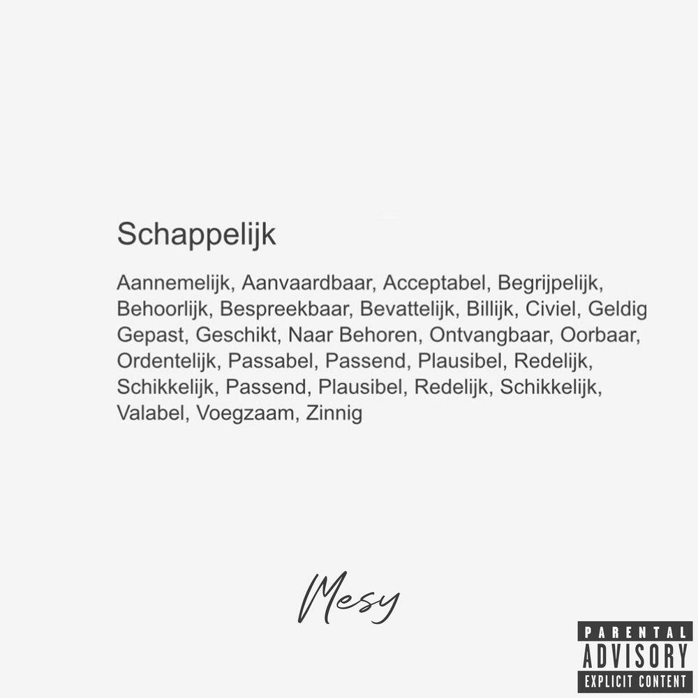 Релиз Schappelijk