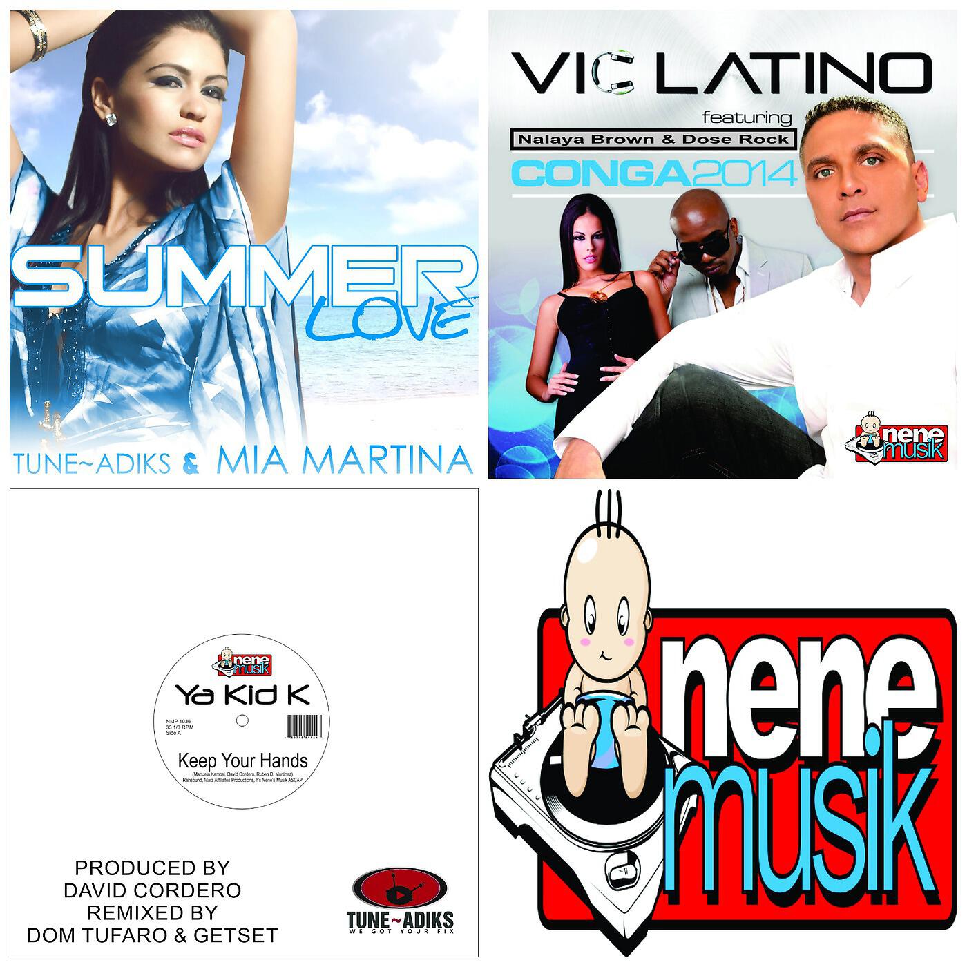 Постер альбома The Best of Nene Musik, Vol. 5