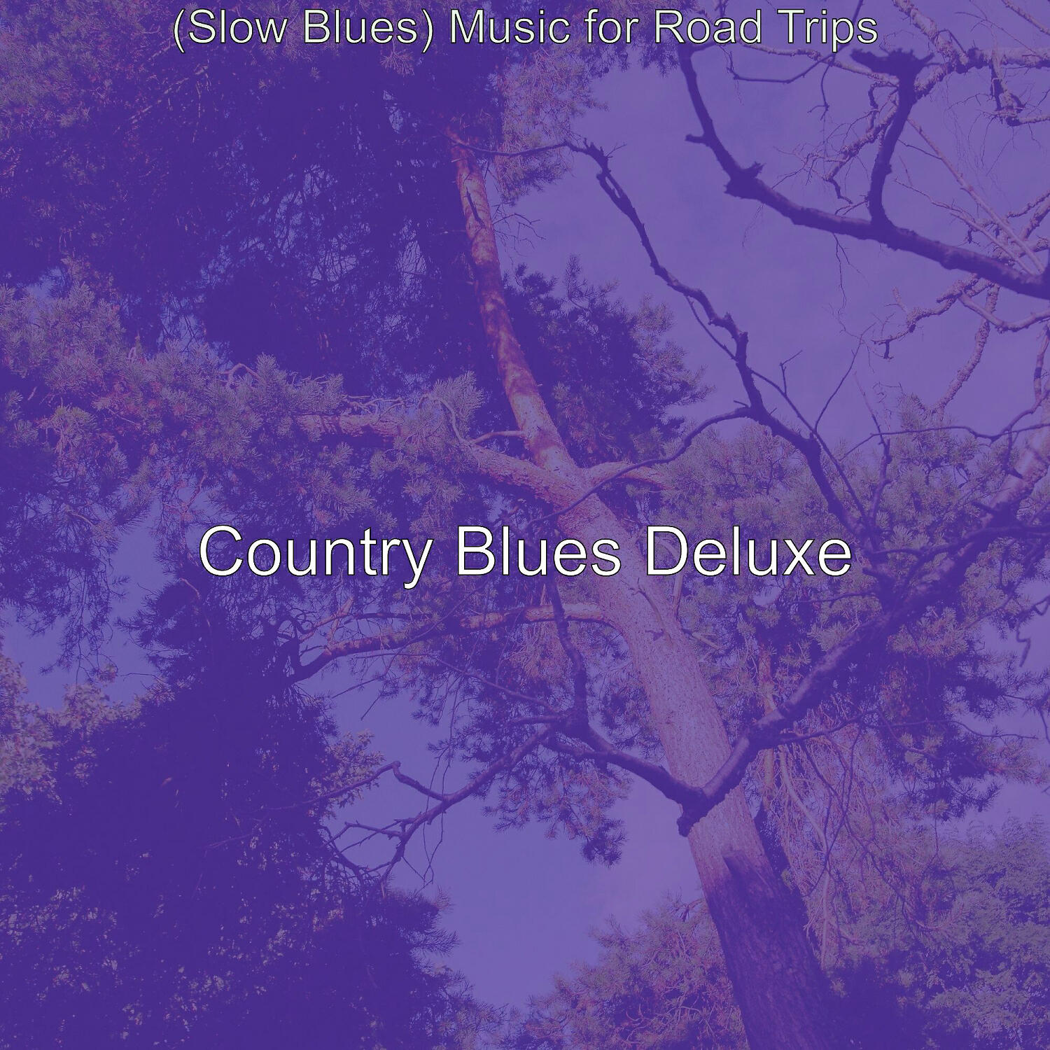 Постер альбома (Slow Blues) Music for Road Trips