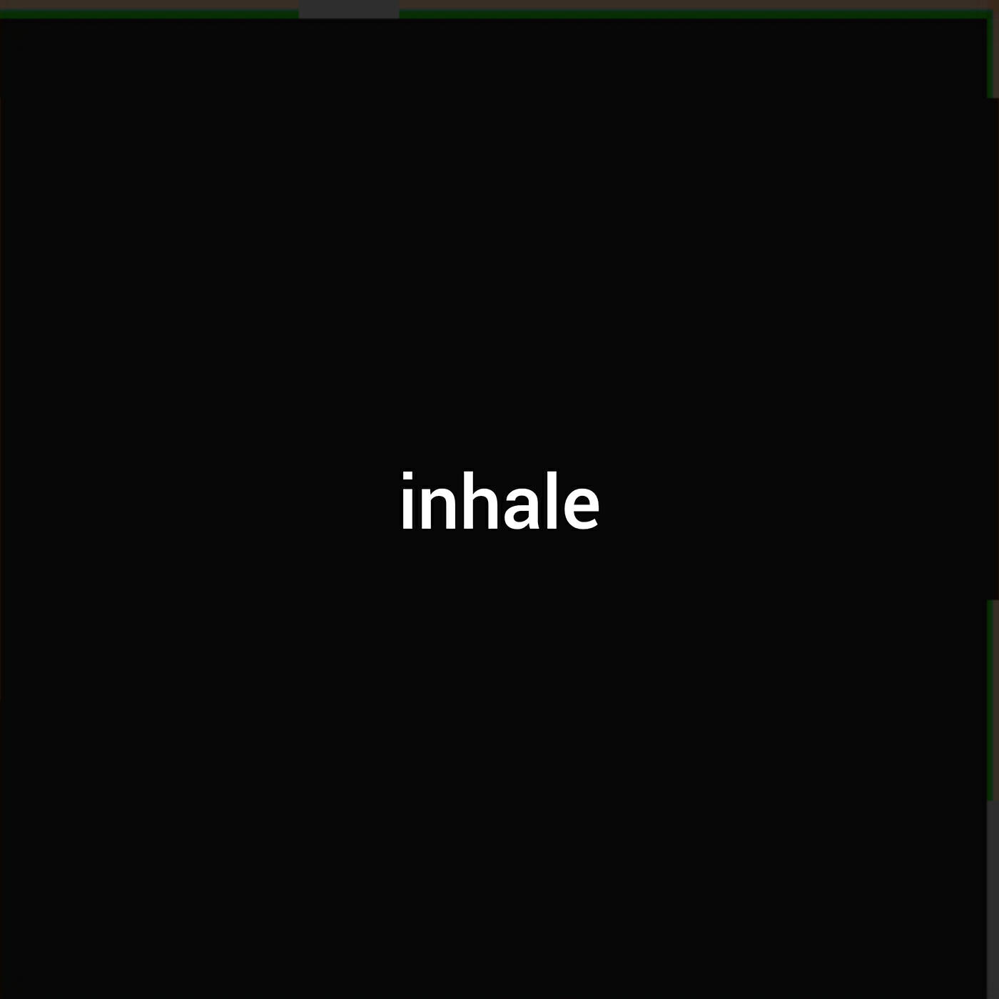 Постер альбома Inhale