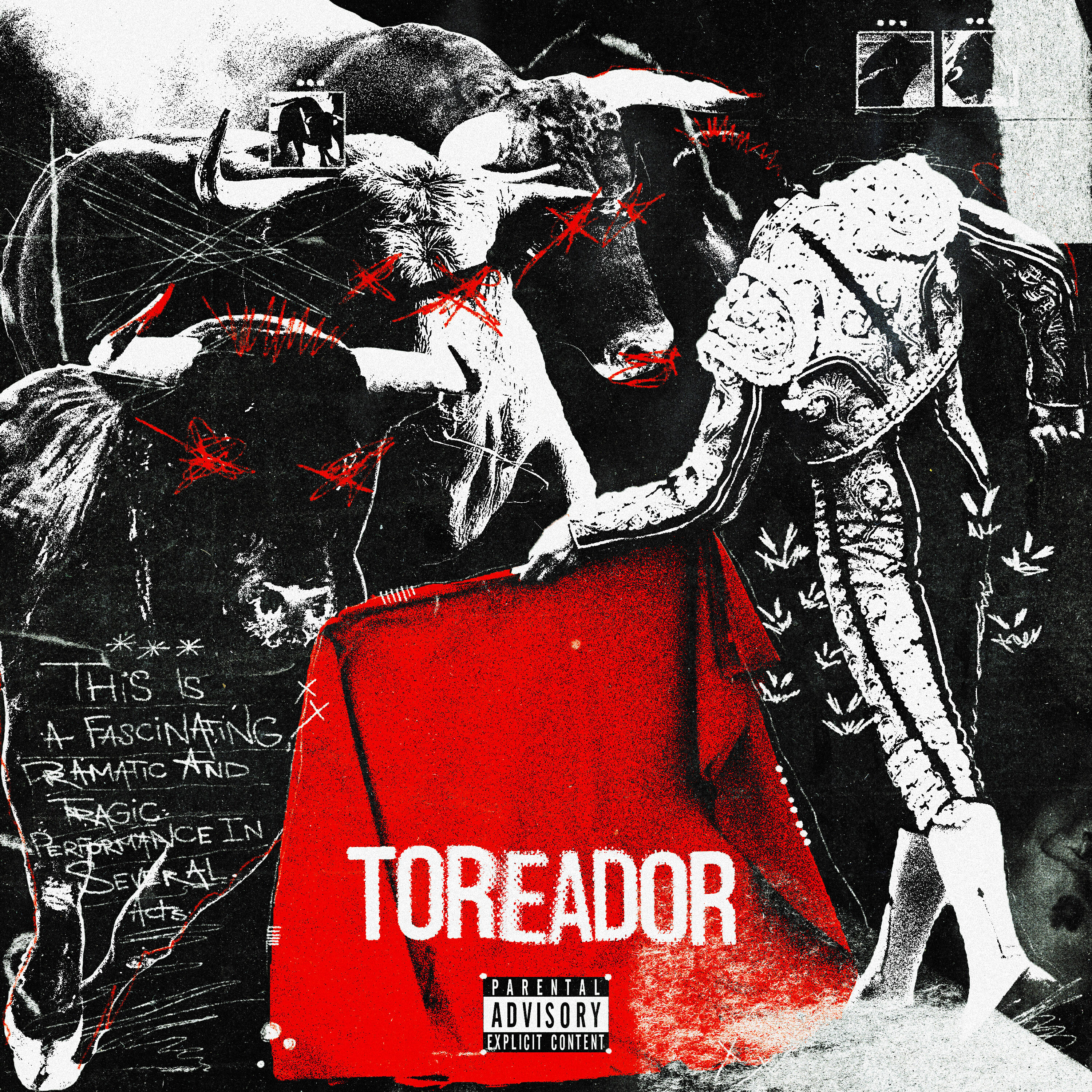 Релиз TOREADOR