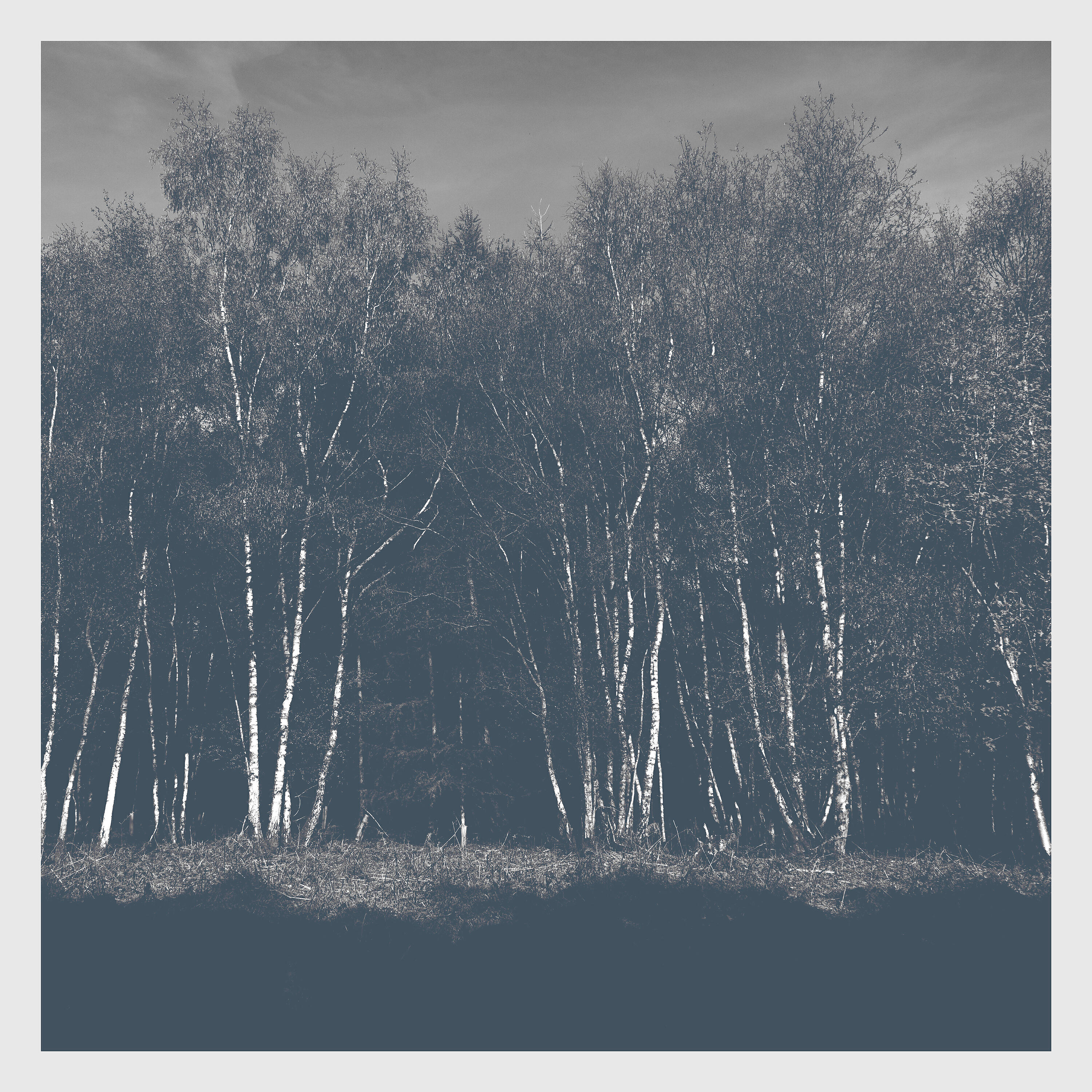 Релиз Songs of Solitude