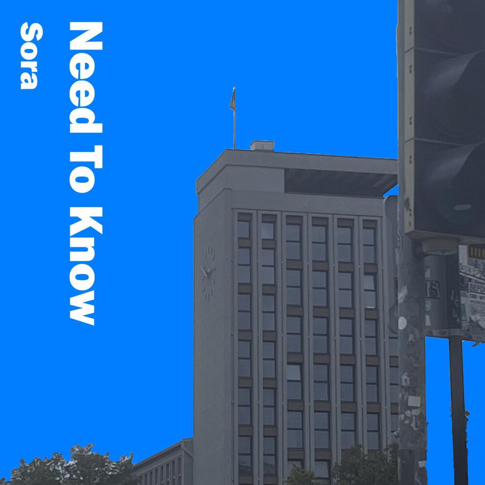 Релиз Need to Know