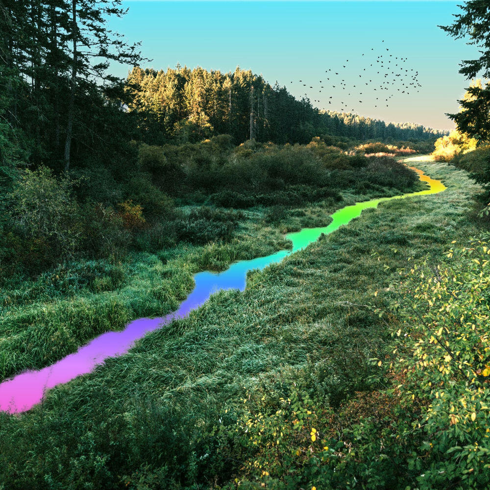 Релиз Quantum Foam