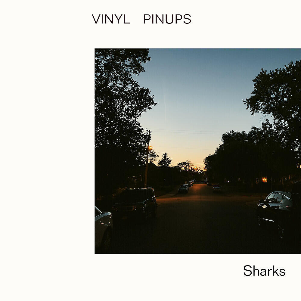 Релиз Sharks