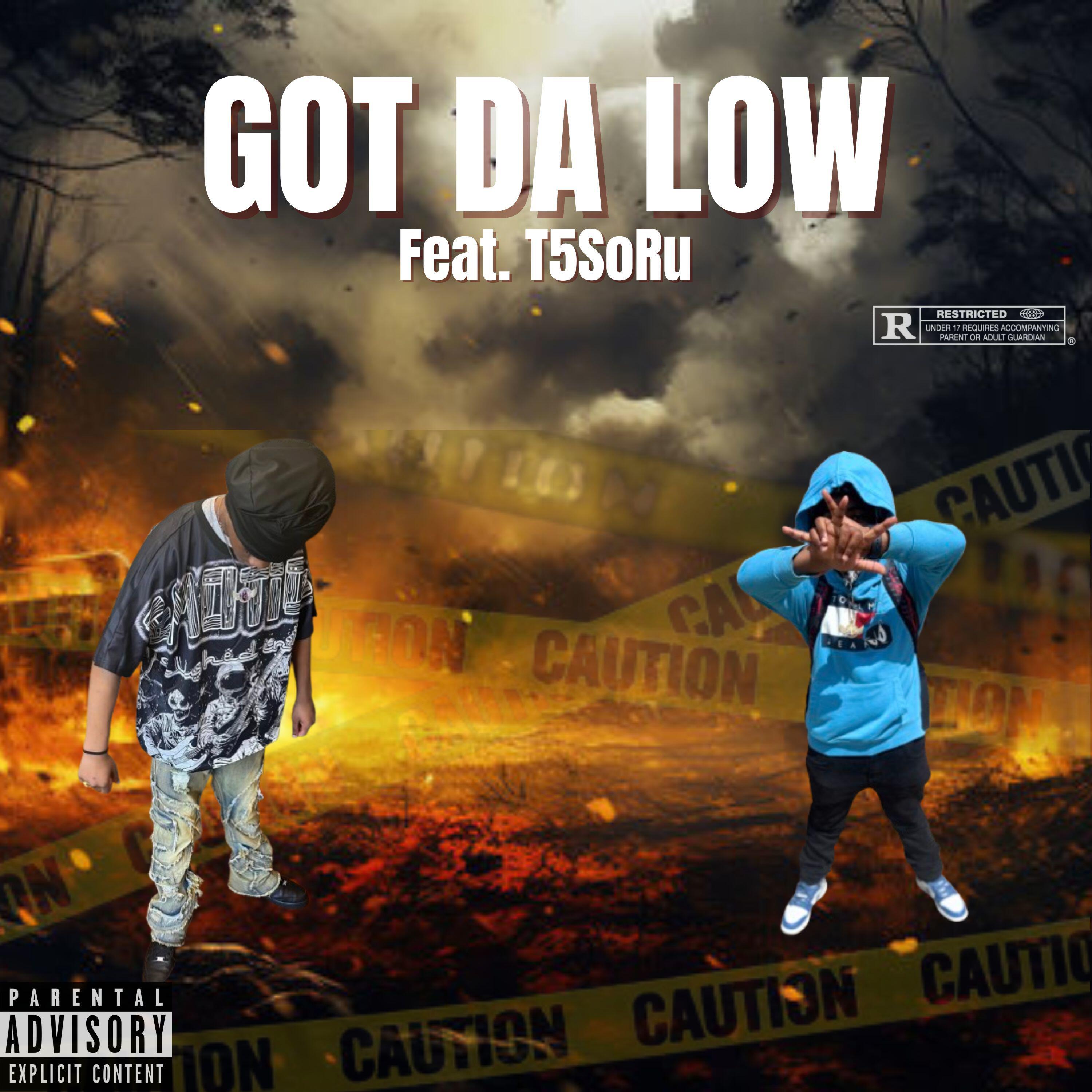 Постер альбома Got Da Low (feat. T5soru)