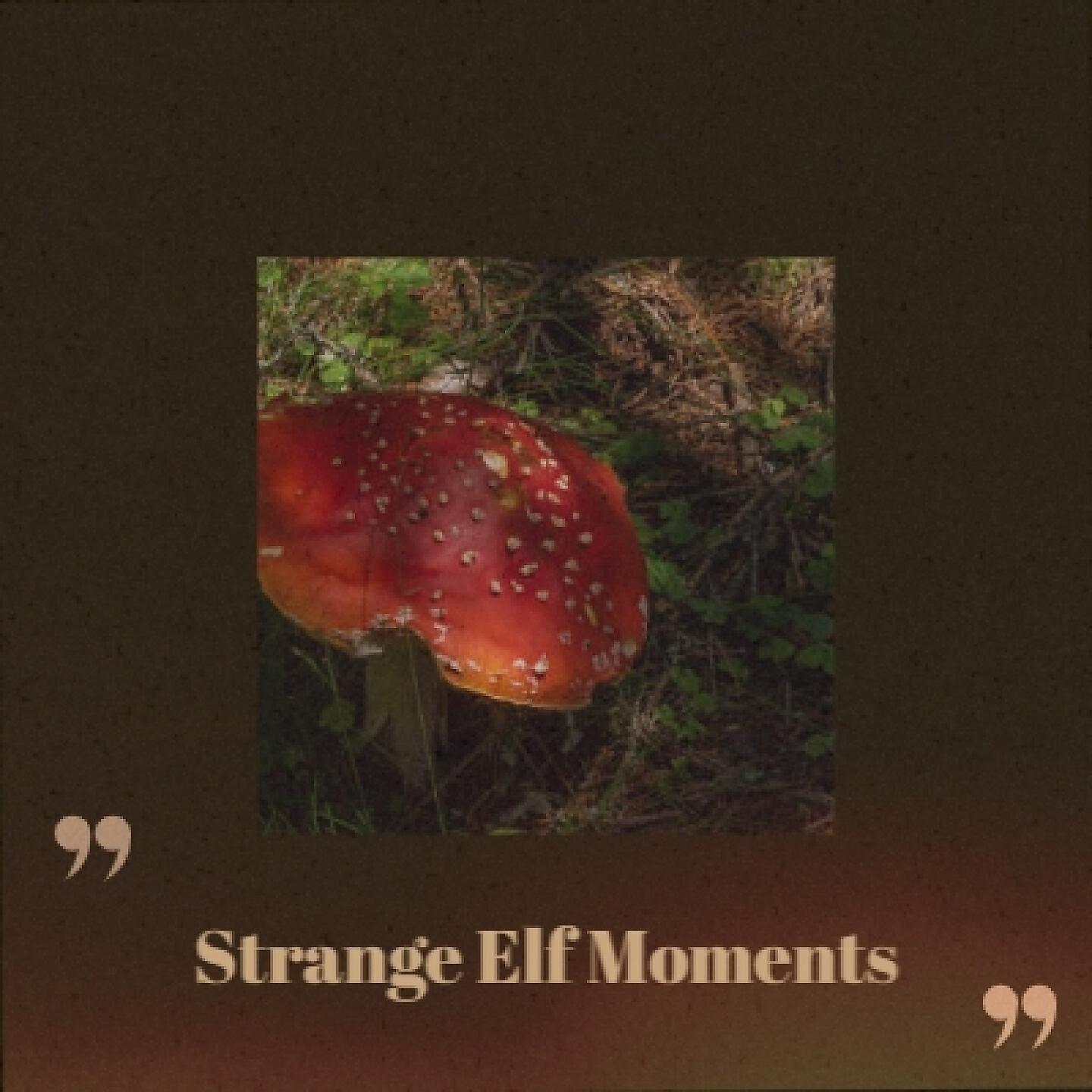 Релиз Strange Elf Moments